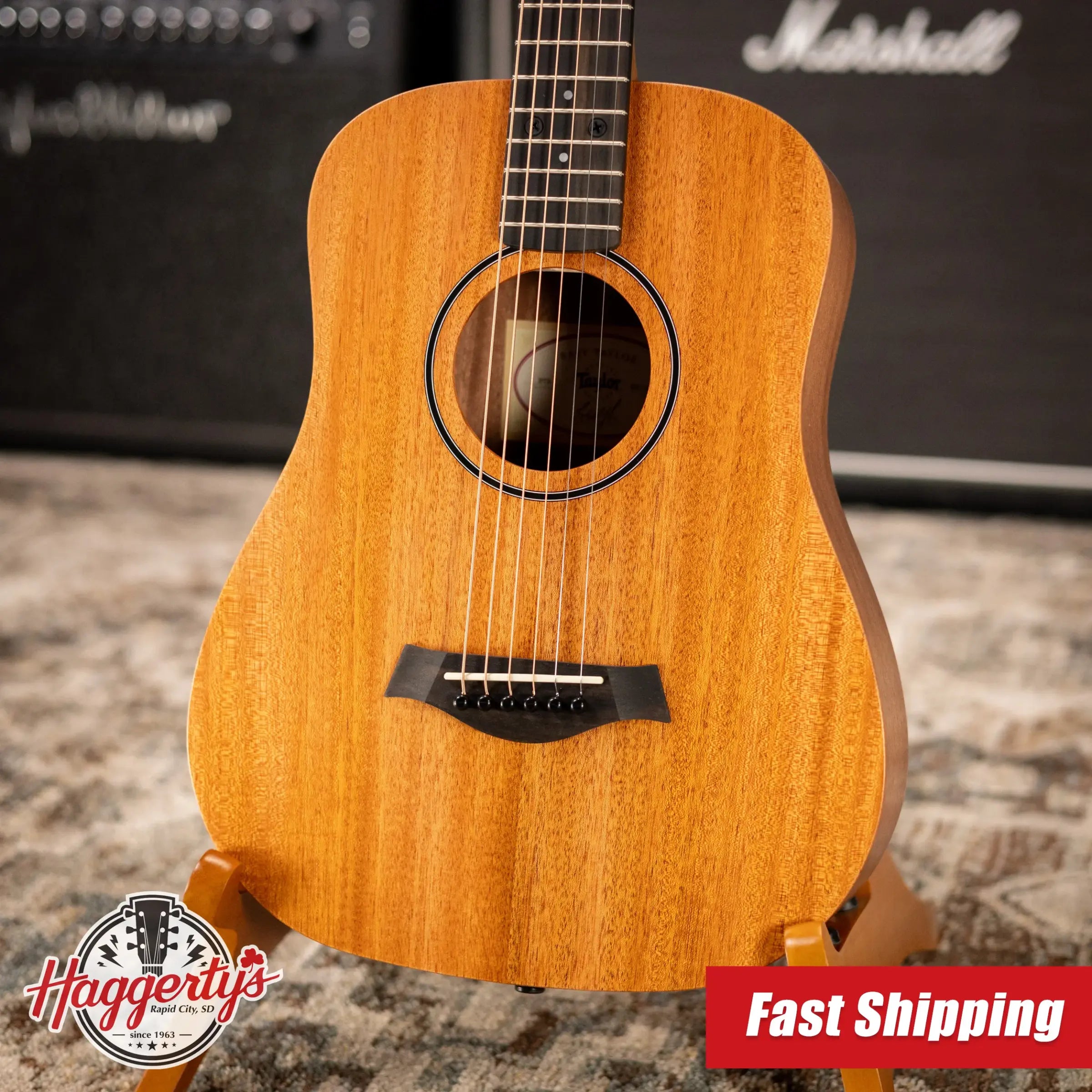 Taylor BT2 Baby Taylor Acoustic Guitar with Gig Bag