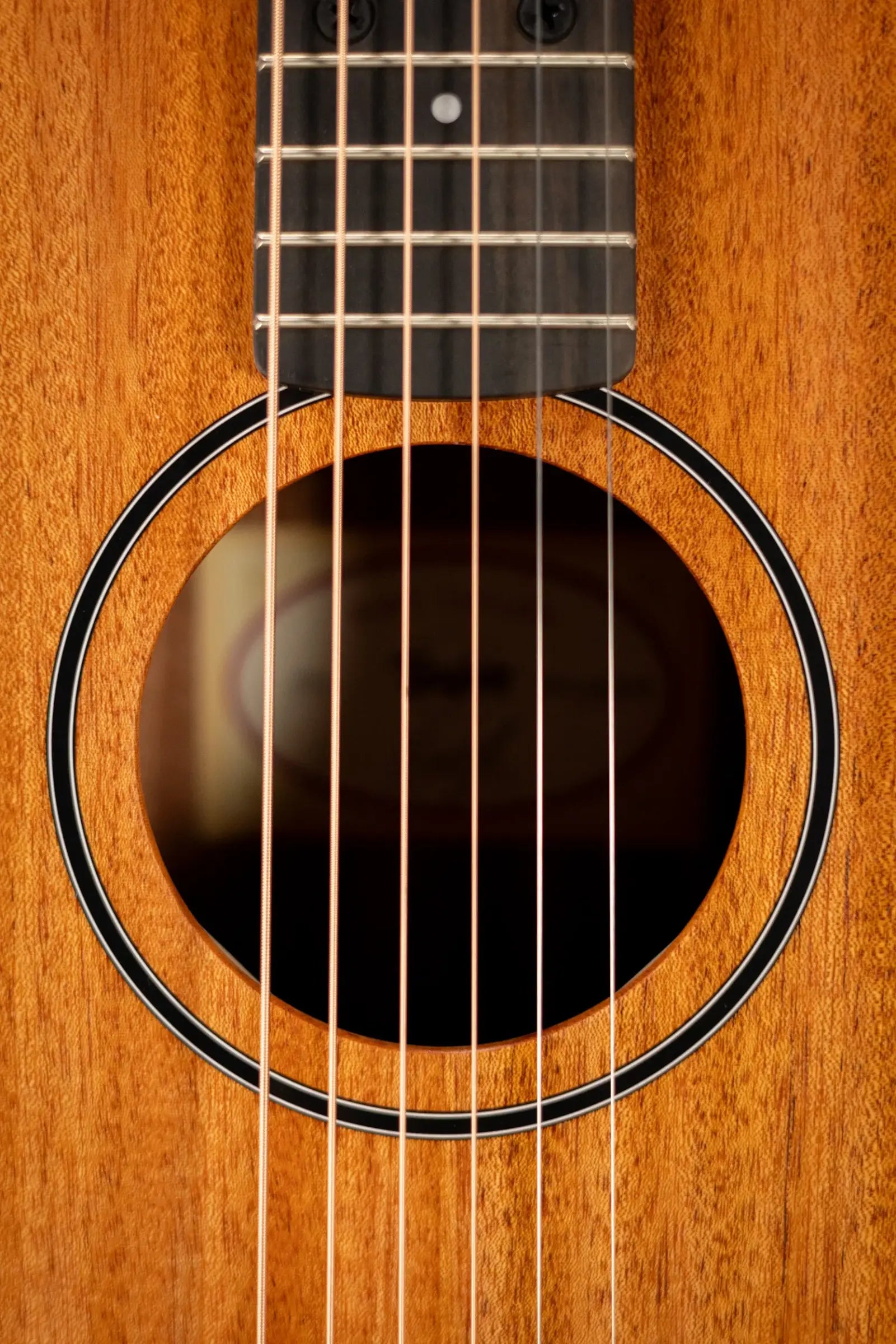 Taylor BT2 Baby Taylor Acoustic Guitar with Gig Bag