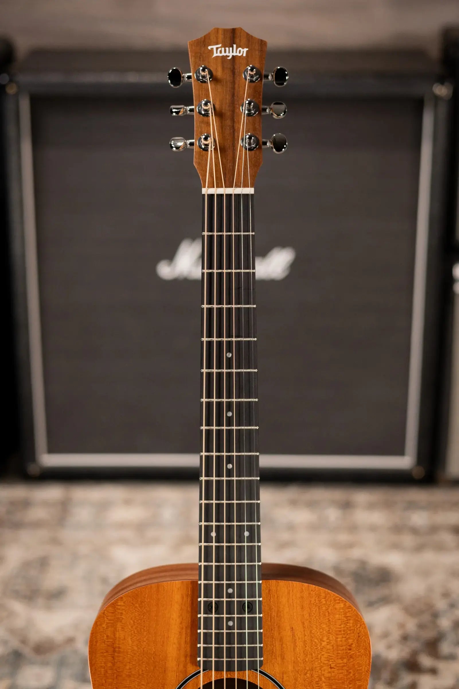 Taylor BT2 Baby Taylor Acoustic Guitar with Gig Bag