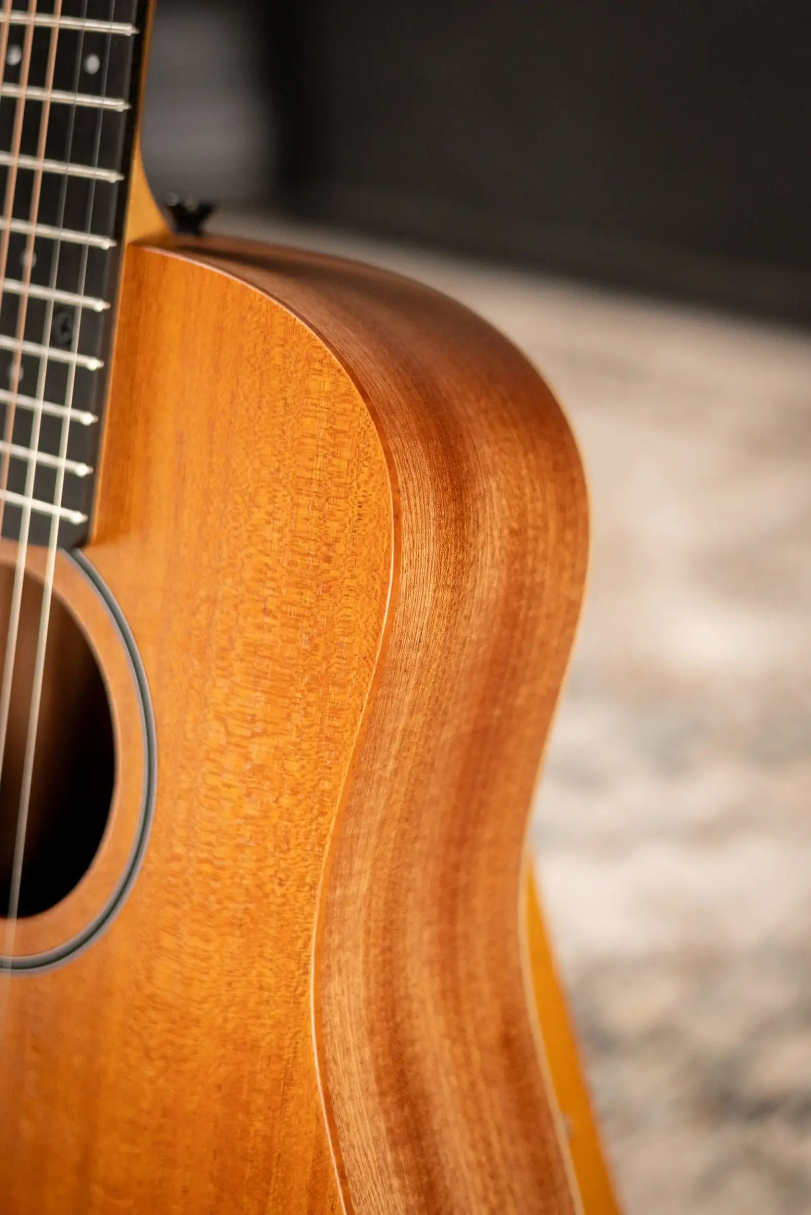Taylor BT2 Baby Taylor Acoustic Guitar with Gig Bag