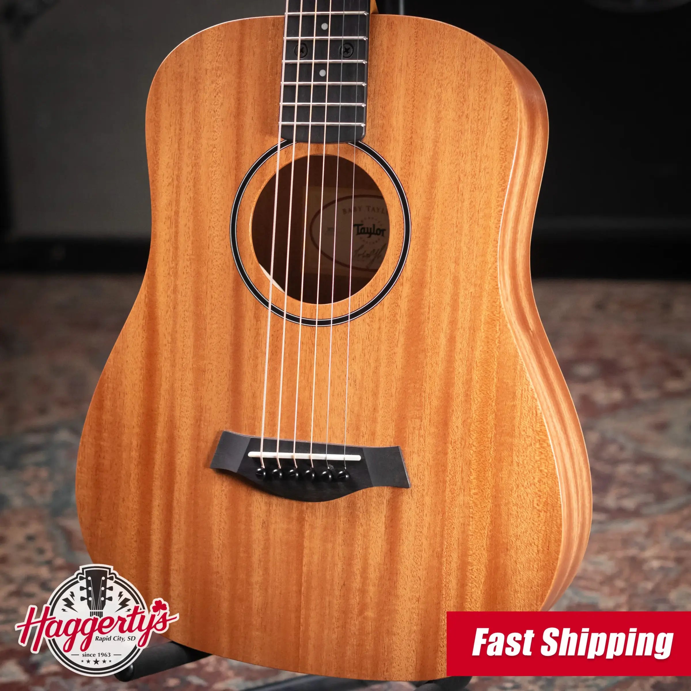 Taylor BT2 Mahogany Acoustic Guitar with Gig Bag