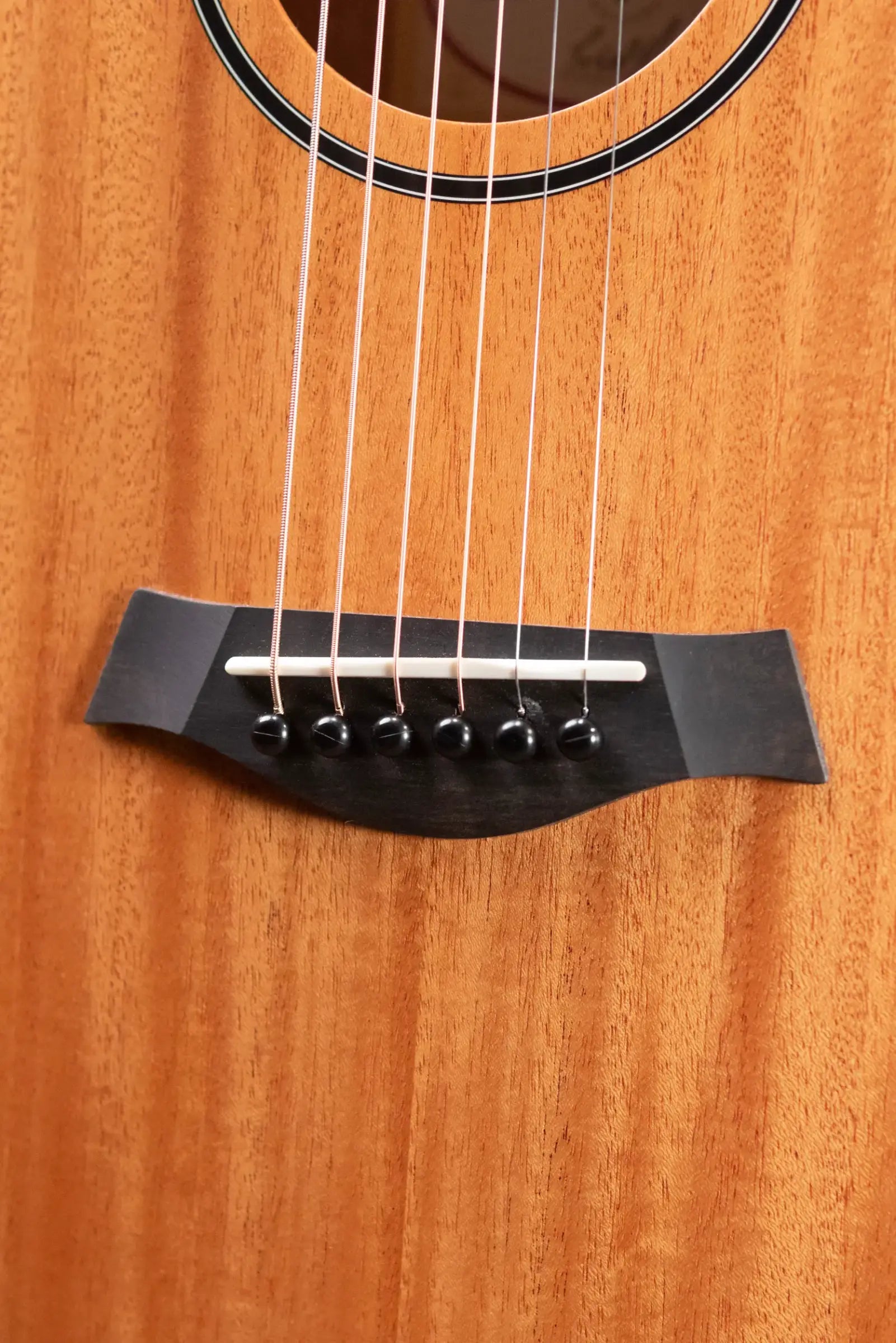 Taylor BT2 Mahogany Acoustic Guitar with Gig Bag