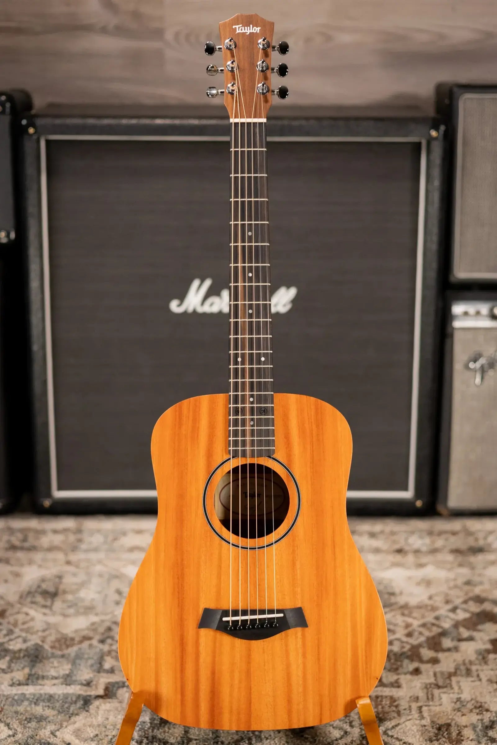 Taylor BT2 Mahogany Acoustic Guitar with Gig Bag