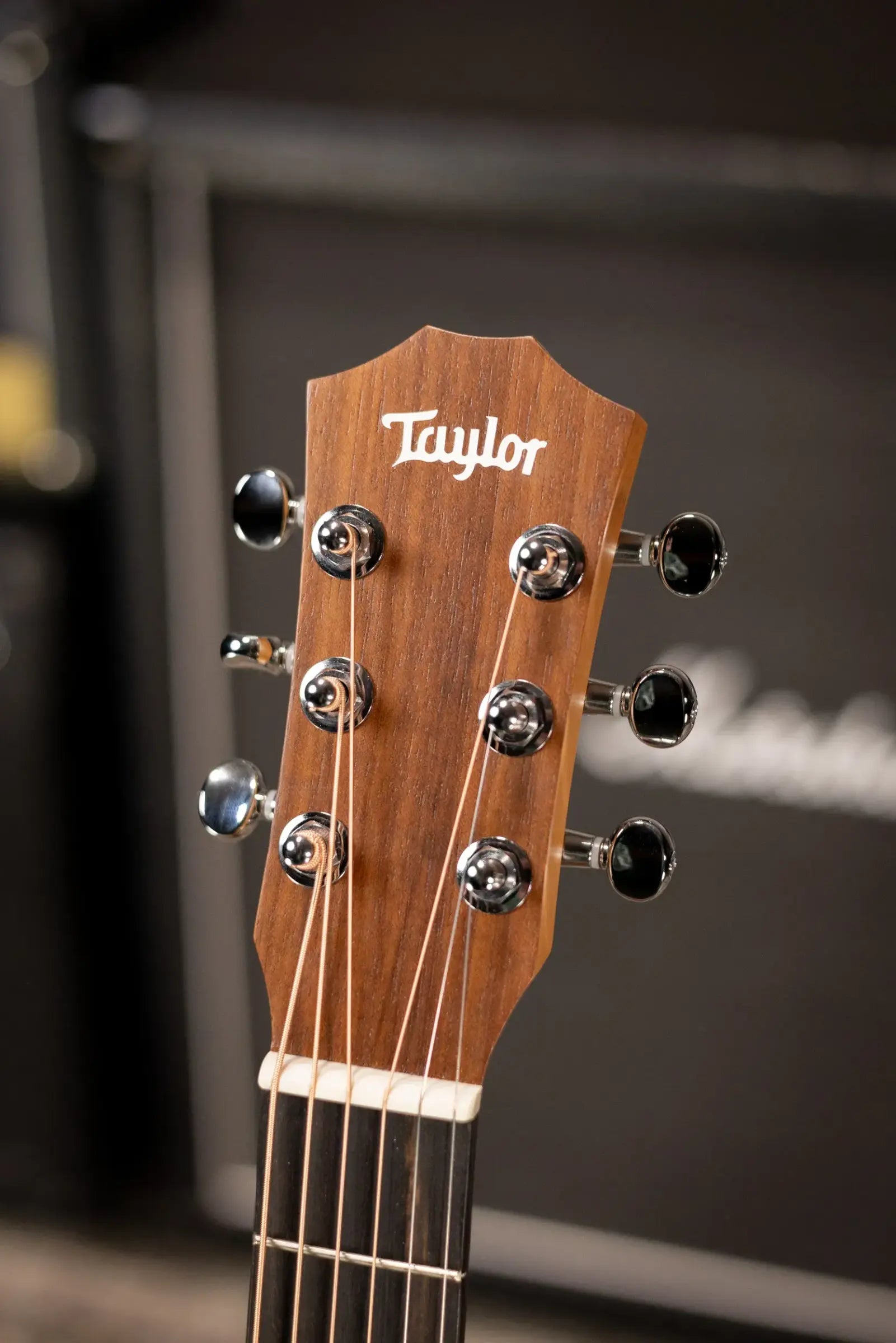 Taylor BT2 Mahogany Acoustic Guitar with Gig Bag