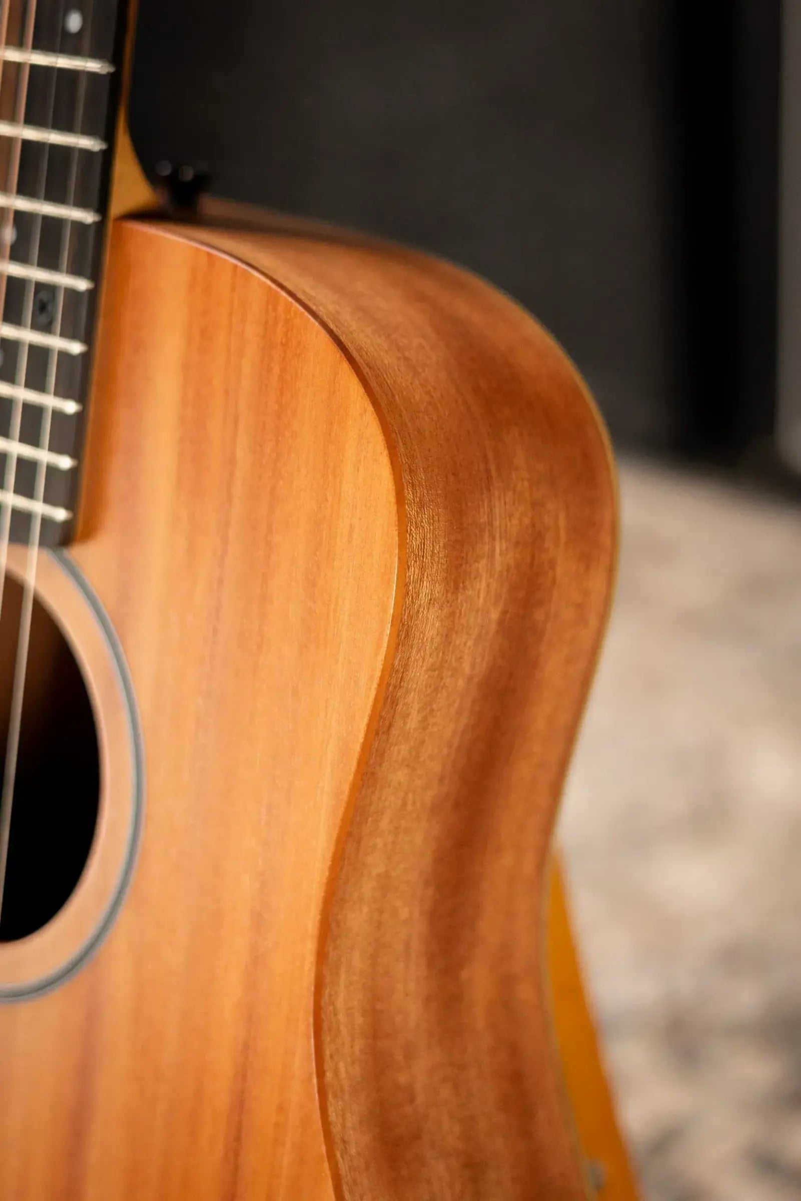 Taylor BT2 Mahogany Acoustic Guitar with Gig Bag