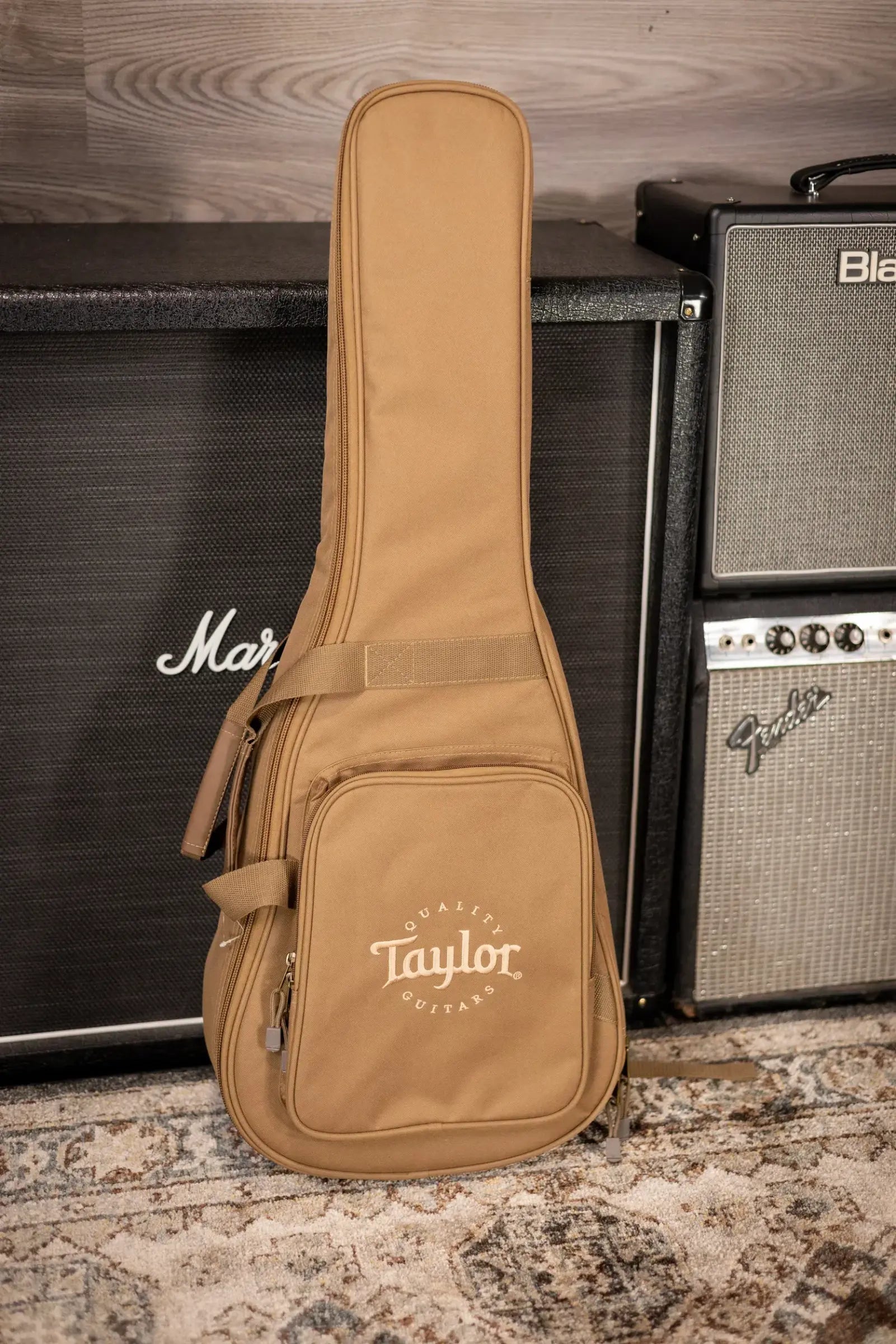 Taylor BT2 Mahogany Acoustic Guitar with Gig Bag