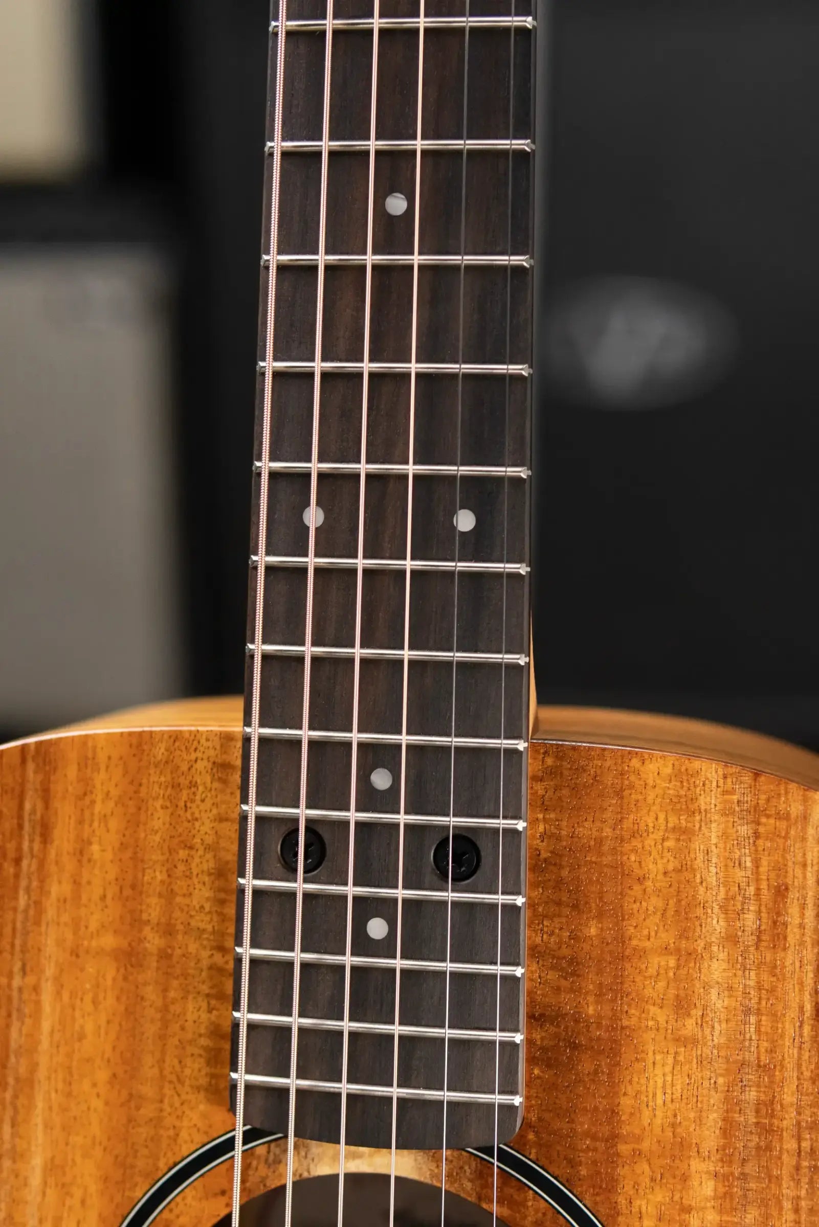 Taylor BTe-Koa Baby Taylor Acoustic/Electric Guitar with Gig Bag