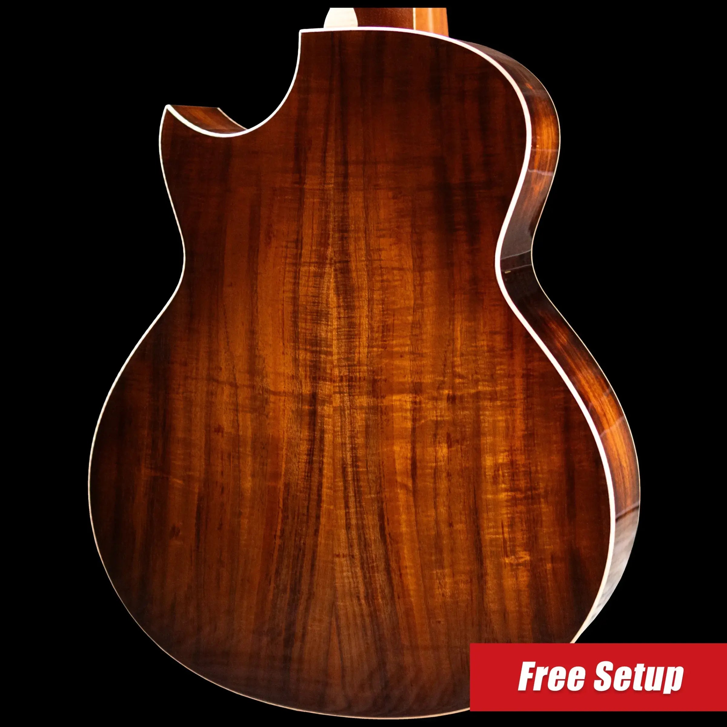 Taylor Custom Shop #C0023 Gold Label Super Auditorium Acoustic/Electric Guitar with Hardshell Case