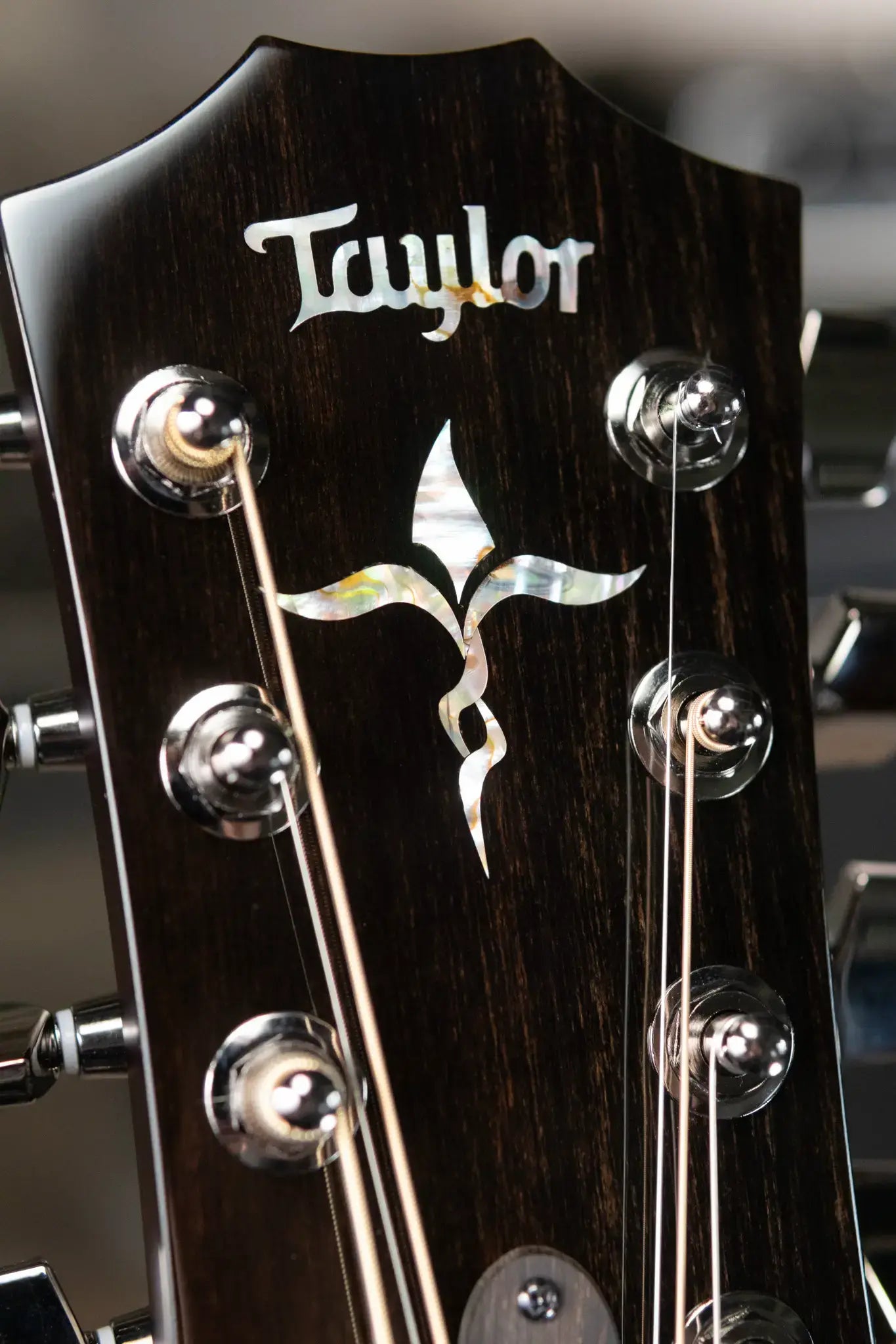 Taylor 2025 Catch Custom #44 C24e Grand Auditorium Baritone-8 8-String Acoustic/Electric Guitar - Figured Blackwood with Hardshell Case