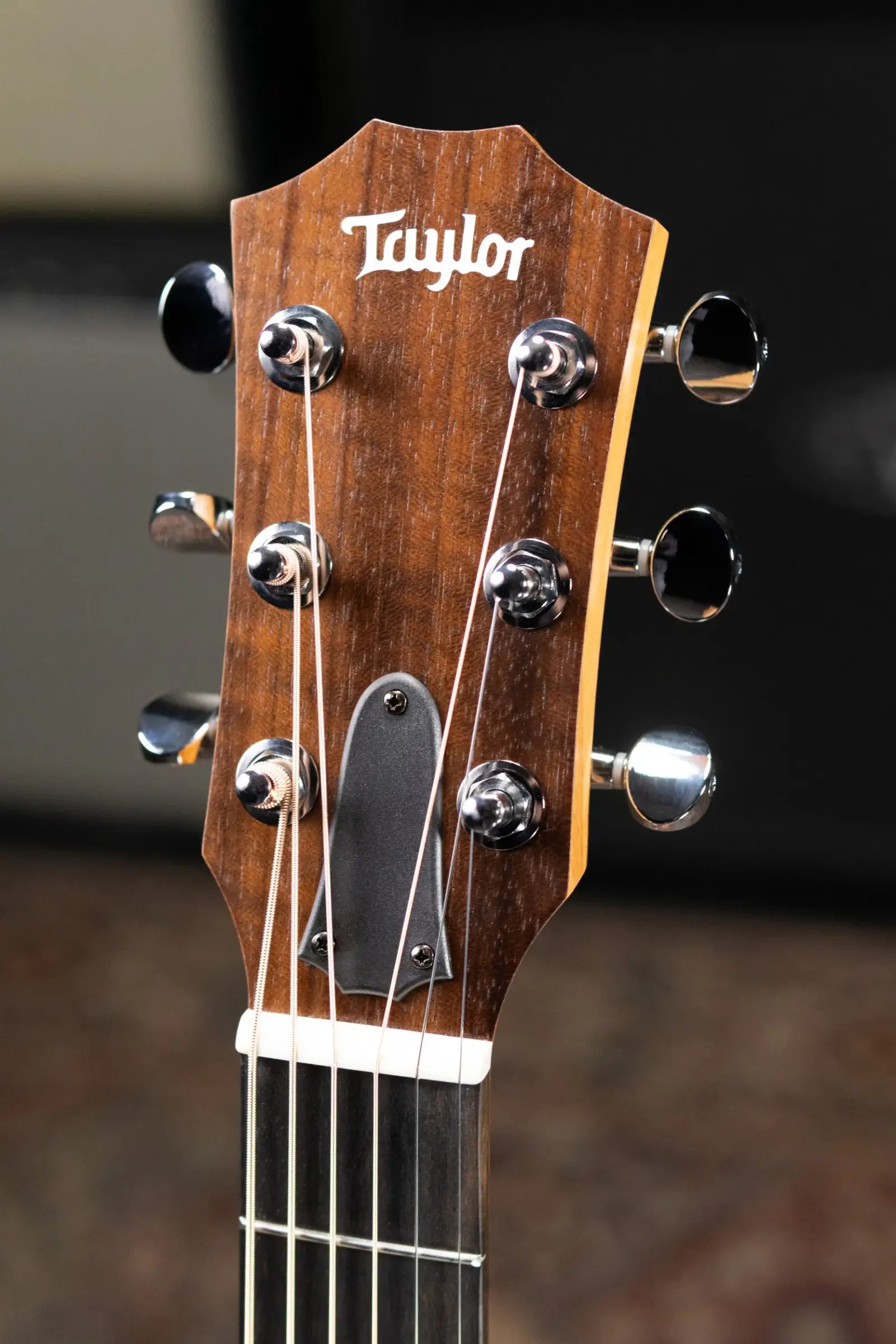 Taylor GS Mini Acoustic Guitar with GS Mini Bag
