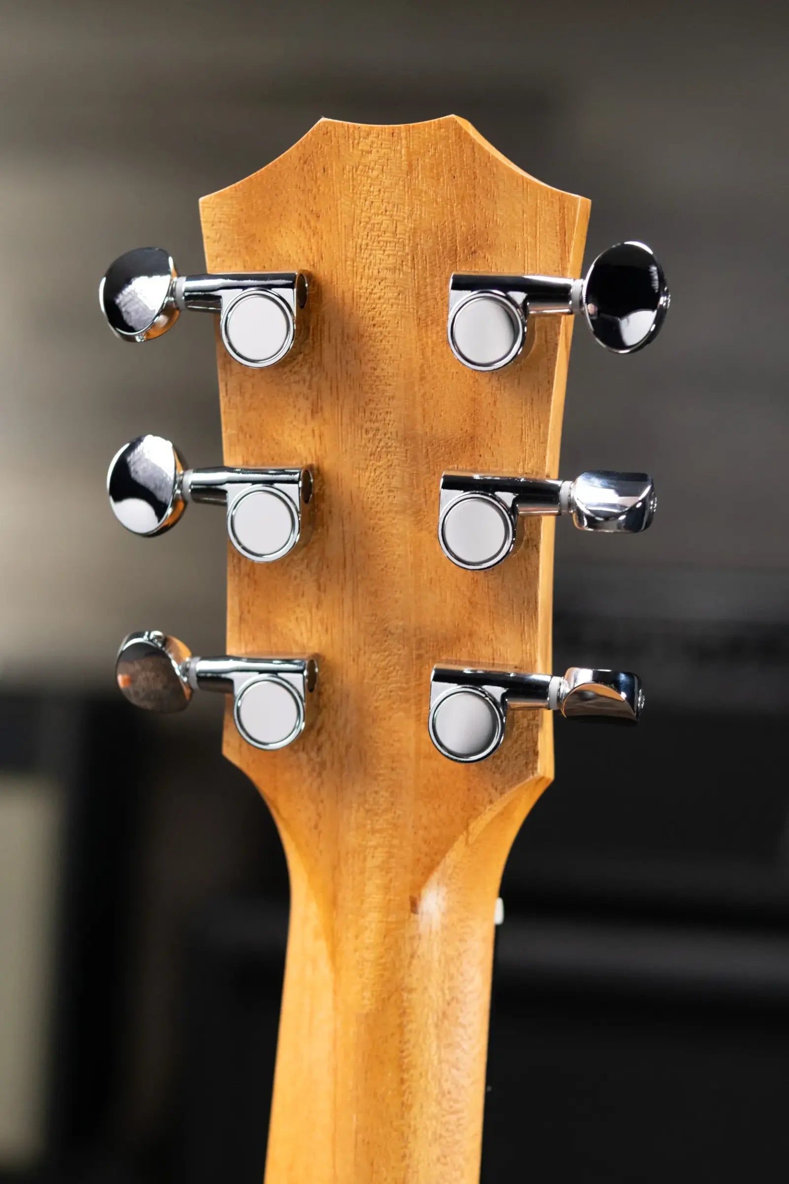 Taylor GS Mini Acoustic Guitar with GS Mini Bag