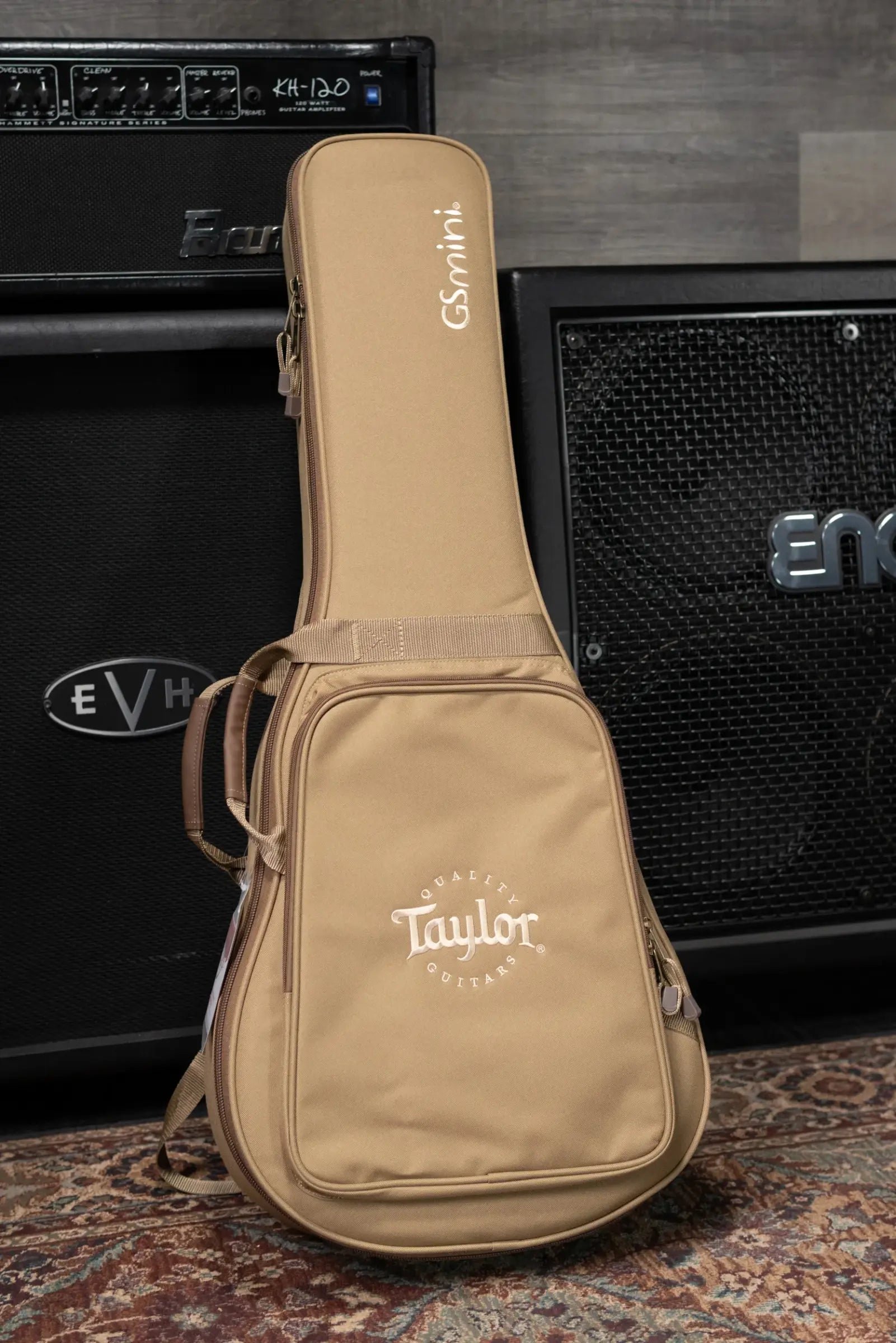 Taylor GS Mini Acoustic Guitar with GS Mini Bag