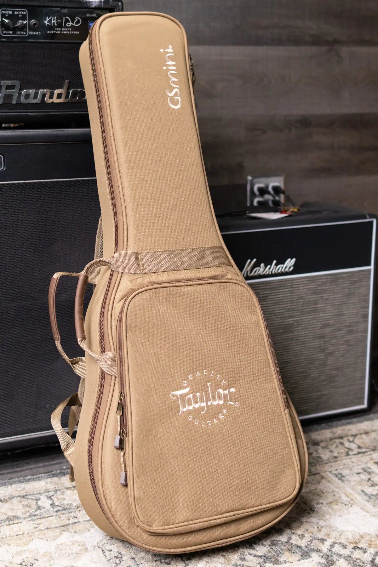 Taylor GS Mini Sapele Acoustic Guitar with GS Mini Hard Bag