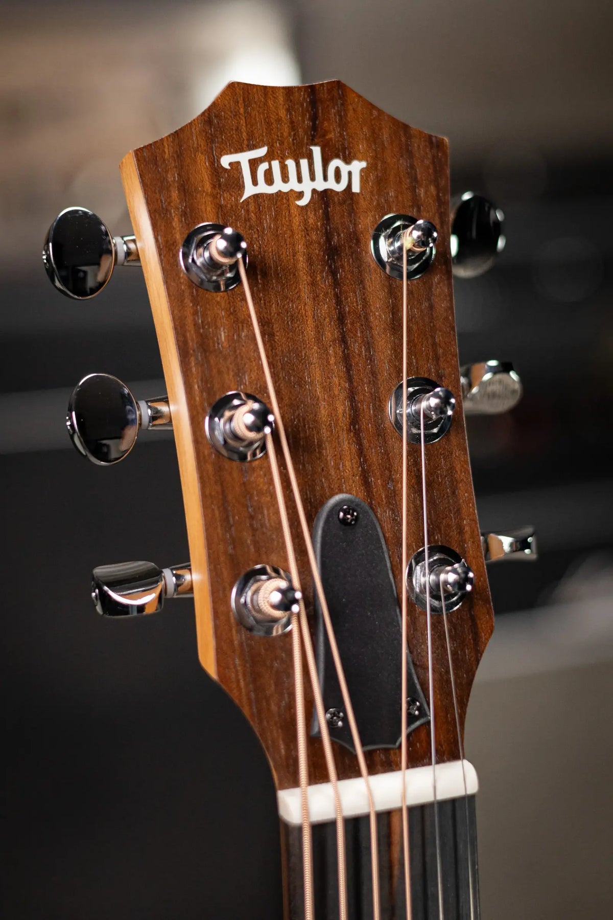 Taylor GS Mini Special Edition Guitars 4 Veterans Acoustic Guitar - Americana with GS Mini Bag - Demo