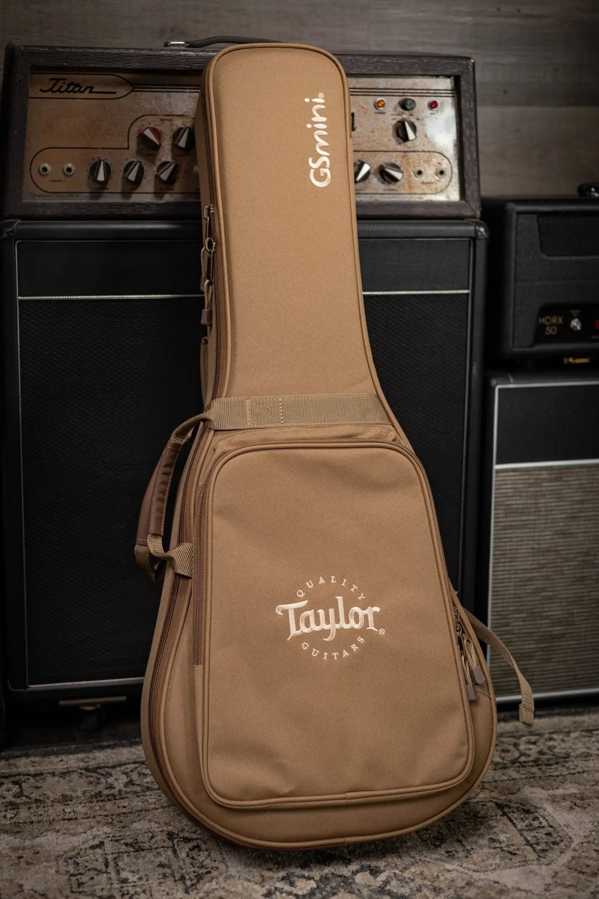Taylor GS Mini Special Edition Guitars 4 Veterans Acoustic Guitar - Americana with GS Mini Bag - Demo