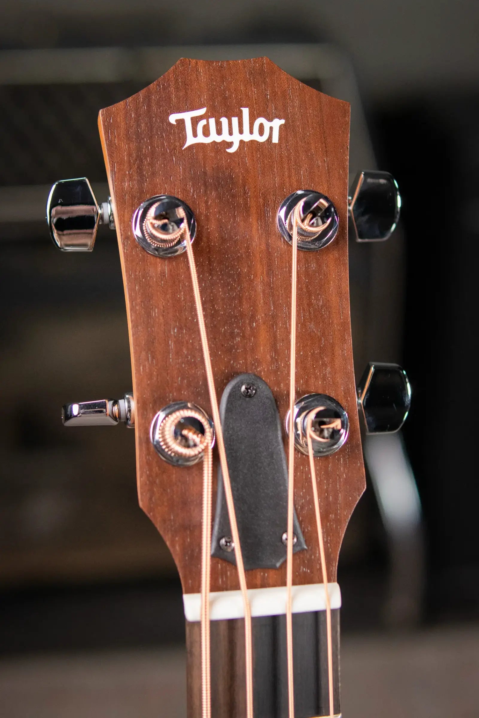 Taylor GS Mini-e Koa Acoustic/Electric Bass with GS Mini Hard Bag