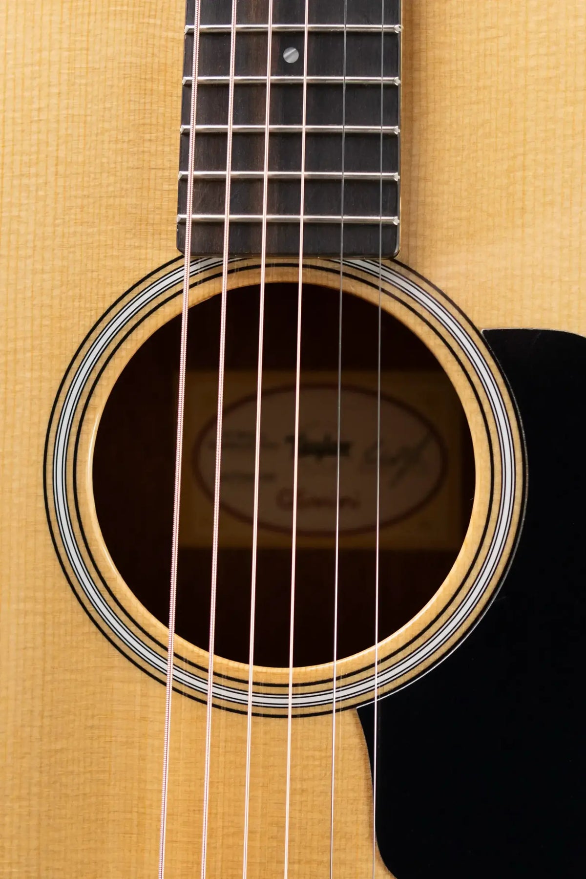 Taylor GS Mini-e Rosewood Plus Acoustic/Electric Guitar with Aerocase