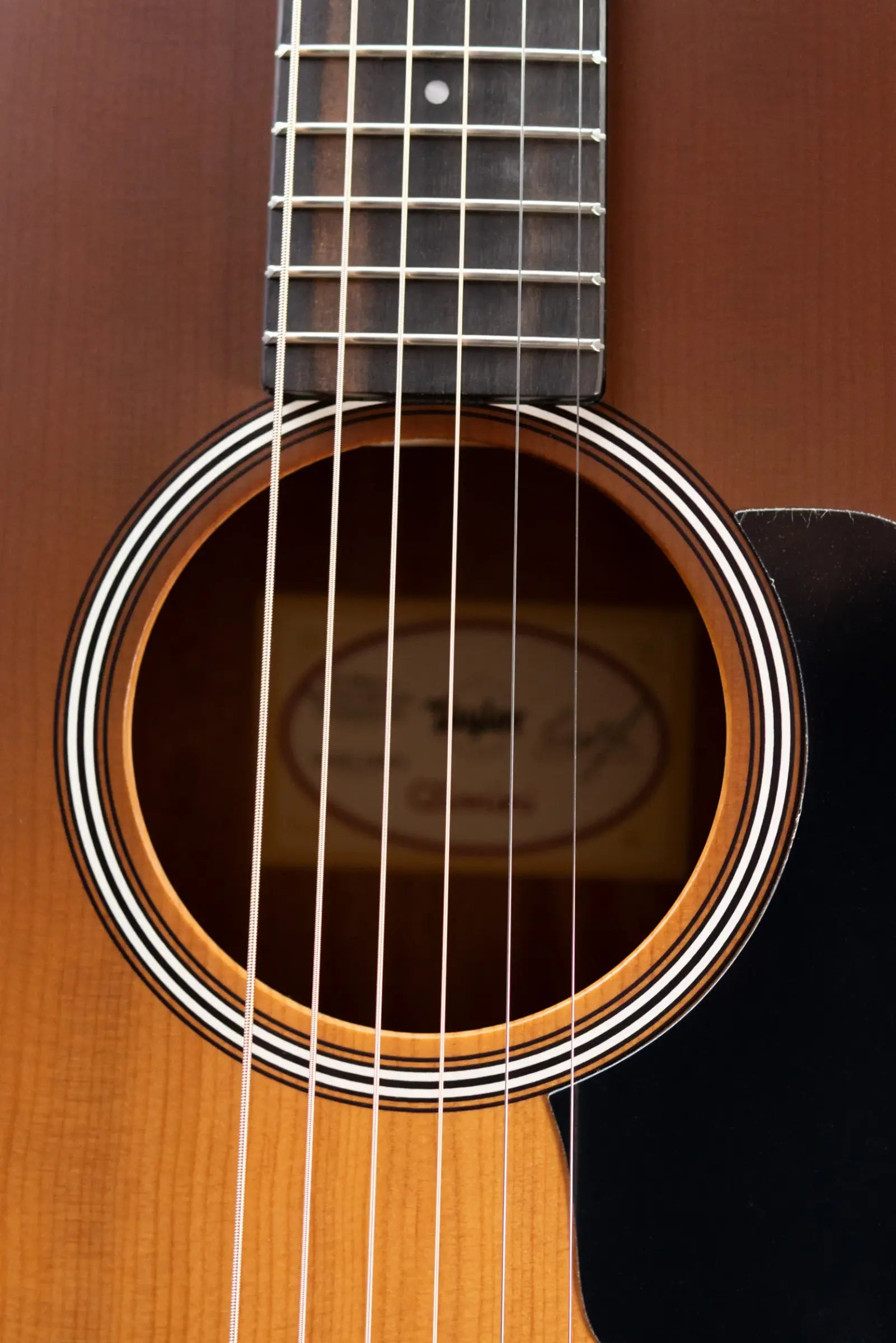 Taylor GS Mini-e Special Edition Acoustic/Electric Guitar - Honeyburst with GS Mini Bag