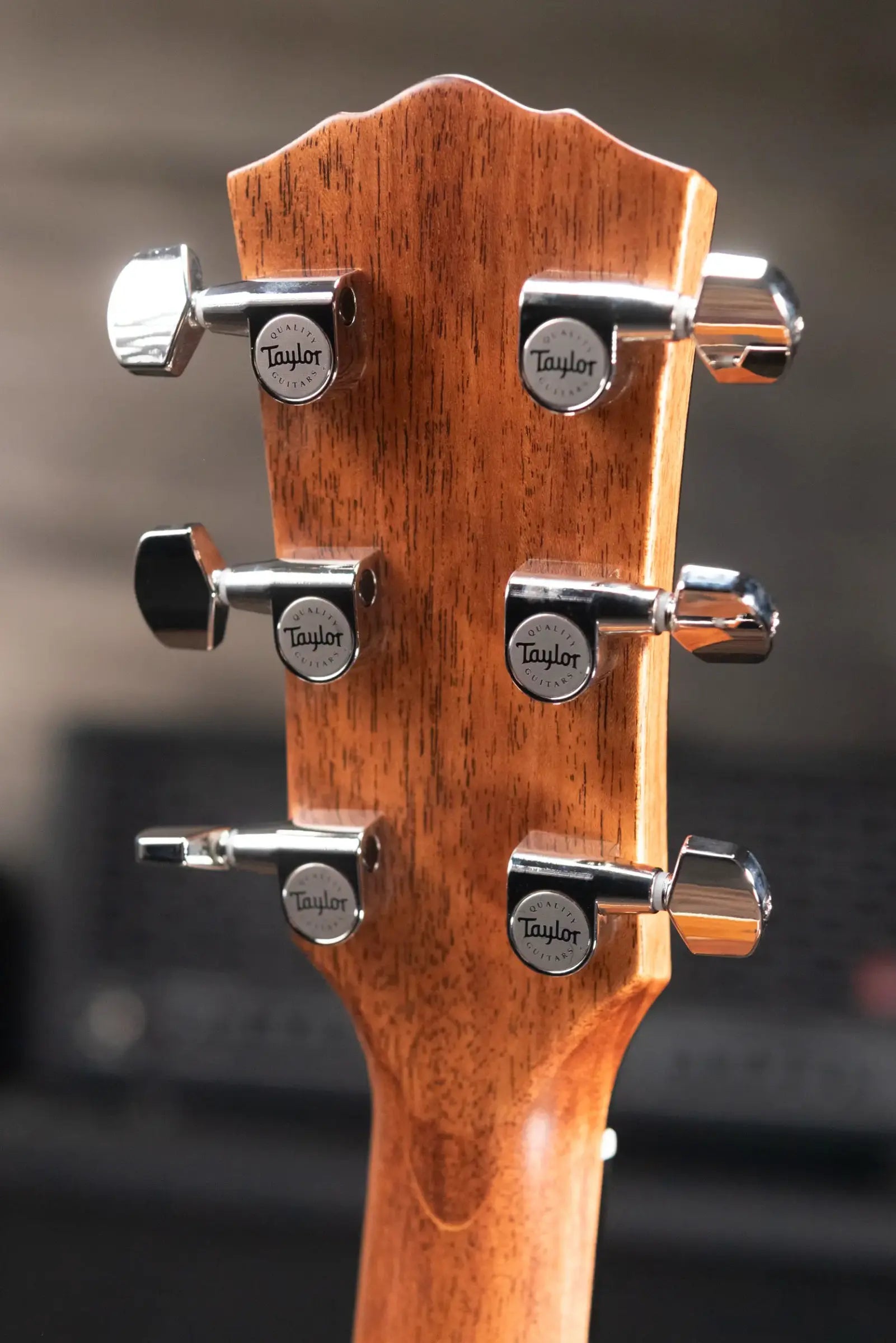 Taylor Gold Label 510e Dreadnought Acoustic/Electric Guitar with Hardshell Case
