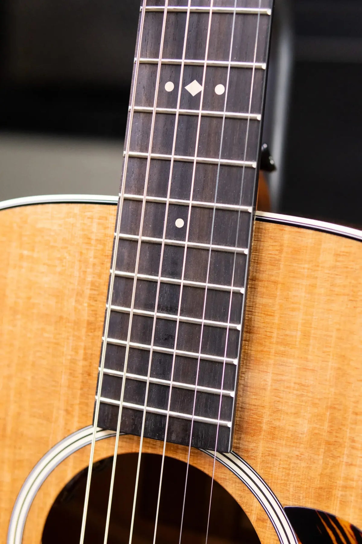 Taylor Gold Label 512e Grand Concert Acoustic/Electric Guitar - Natural with Hardshell Case