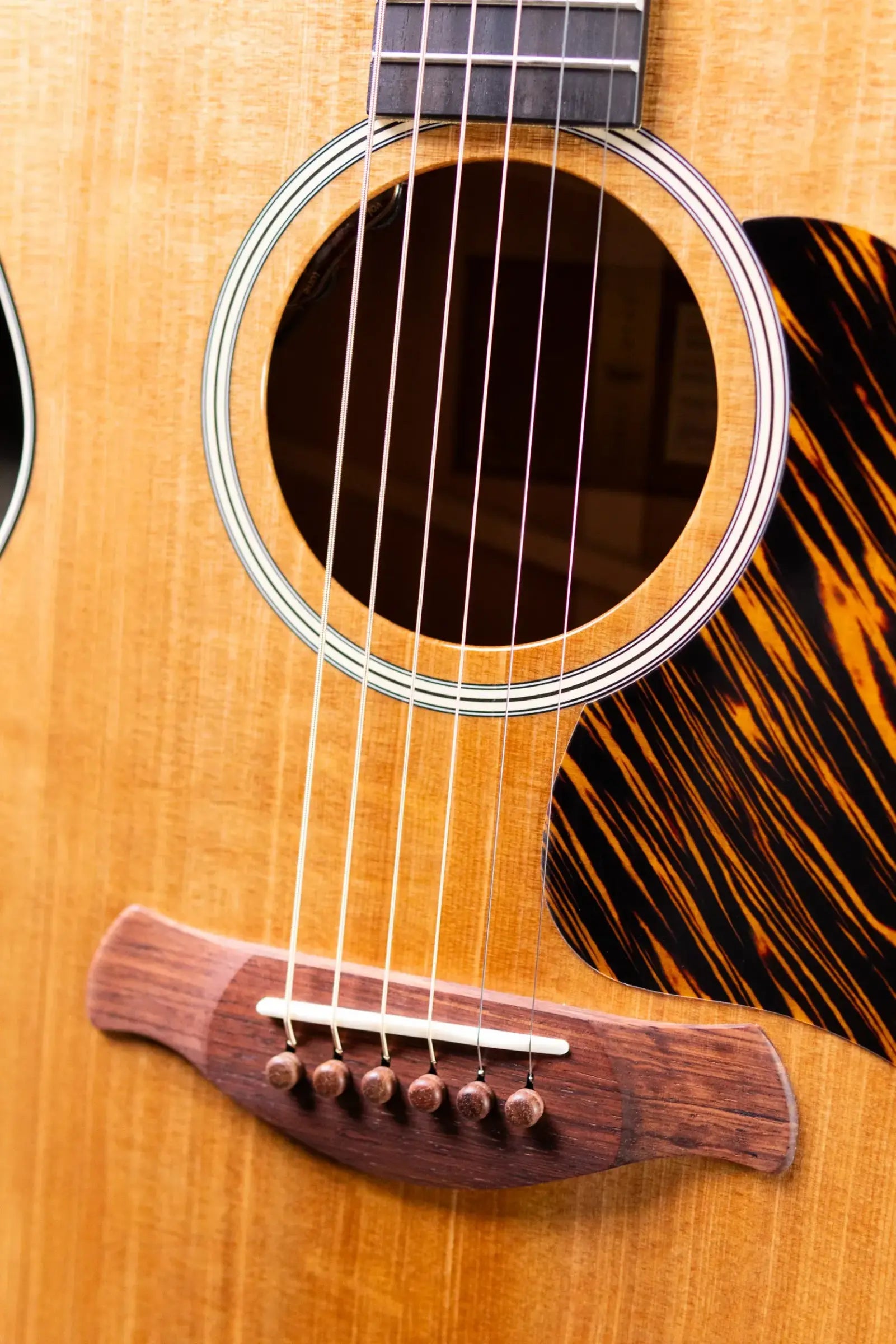Taylor Gold Label 512e Grand Concert Acoustic/Electric Guitar - Natural with Hardshell Case