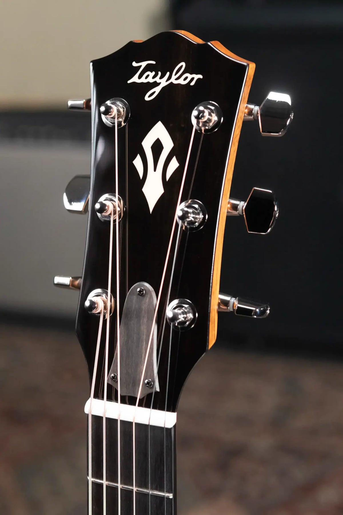 Taylor Gold Label 517e Grand Pacific Acoustic/Electric Guitar - Blacktop with Hardshell Case - Demo