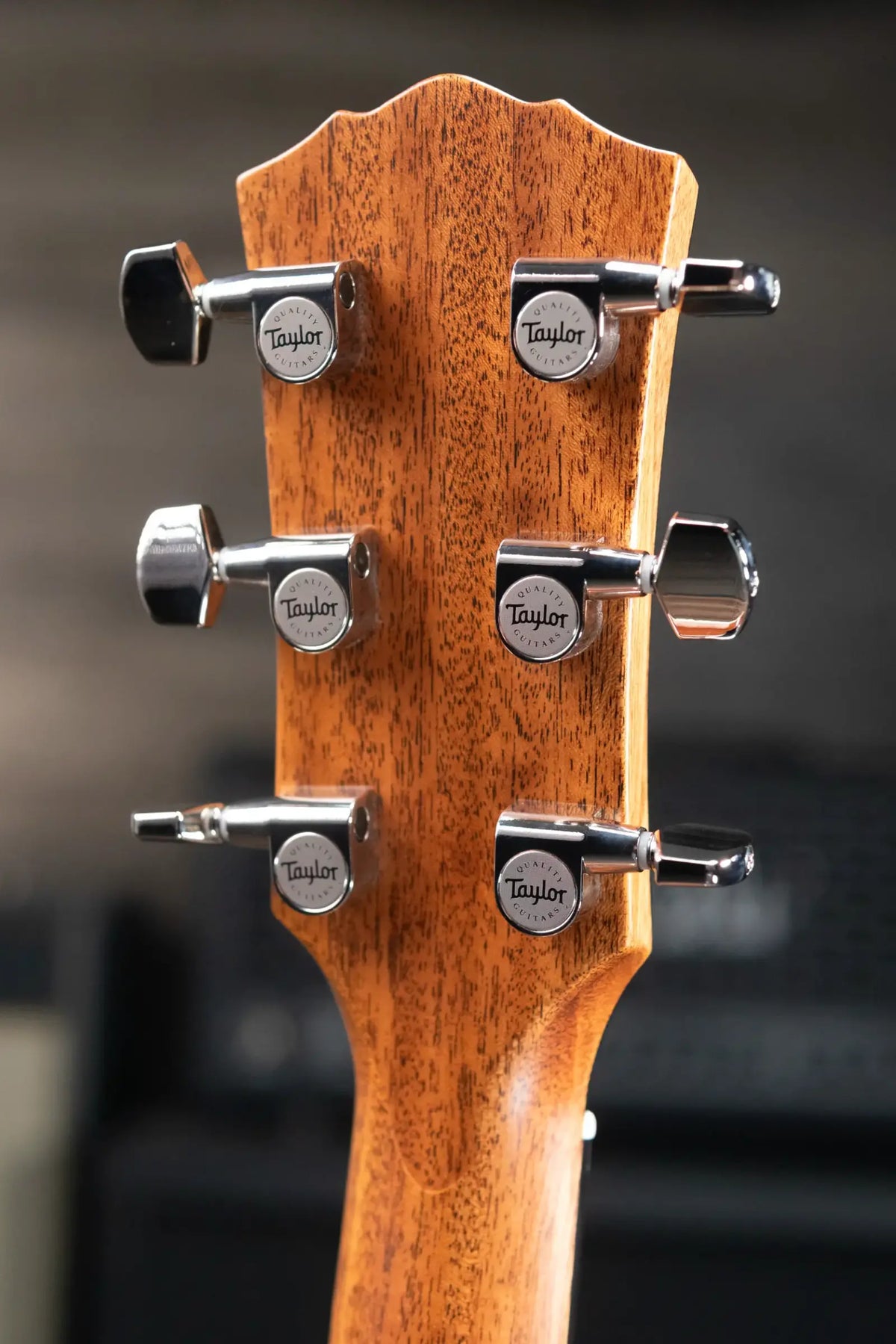 Taylor Gold Label 517e Grand Pacific Acoustic/Electric Guitar - Blacktop with Hardshell Case - Demo