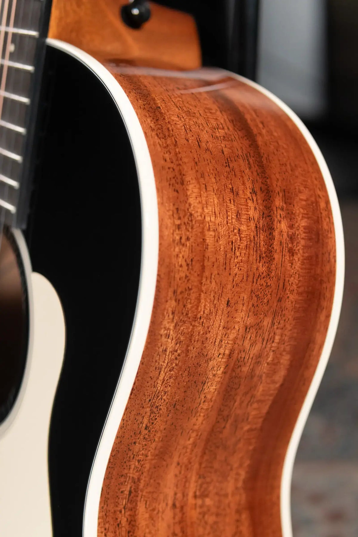 Taylor Gold Label 517e Grand Pacific Acoustic/Electric Guitar - Blacktop with Hardshell Case - Demo
