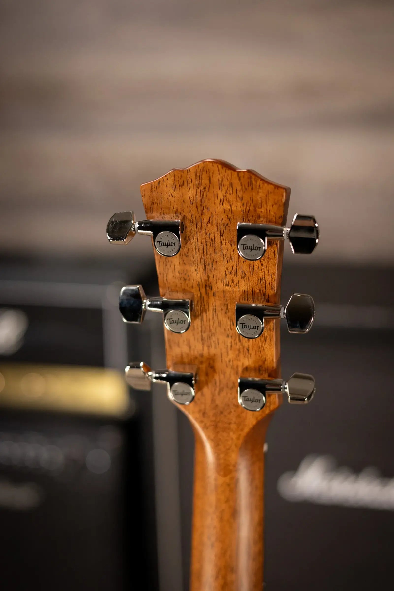 Taylor Gold Label 517e SB Grand Pacific Acoustic/Electric Guitar - Sunburst with Cream Pickguard and Hardshell Case
