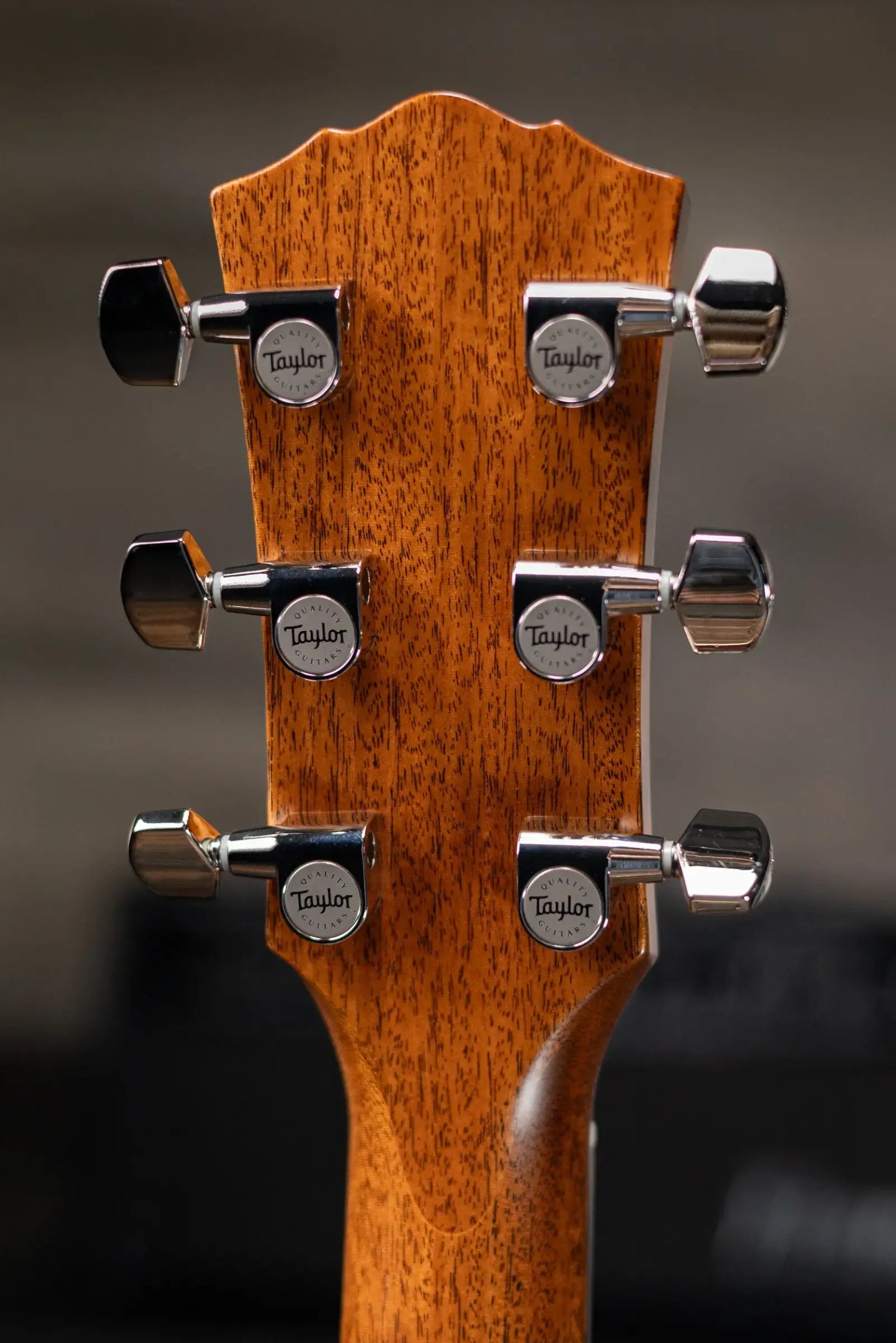 Taylor Gold Label 714e SB Super Auditorium Acoustic/Electric Guitar - Sunburst with Firestripe Pickguard and Hardshell Case