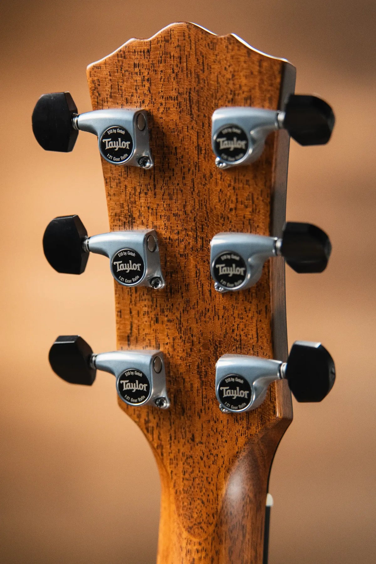 Taylor Gold Label 814e Super Auditorium Acoustic/Electric Guitar - Natural Top with Hardshell Case - Demo