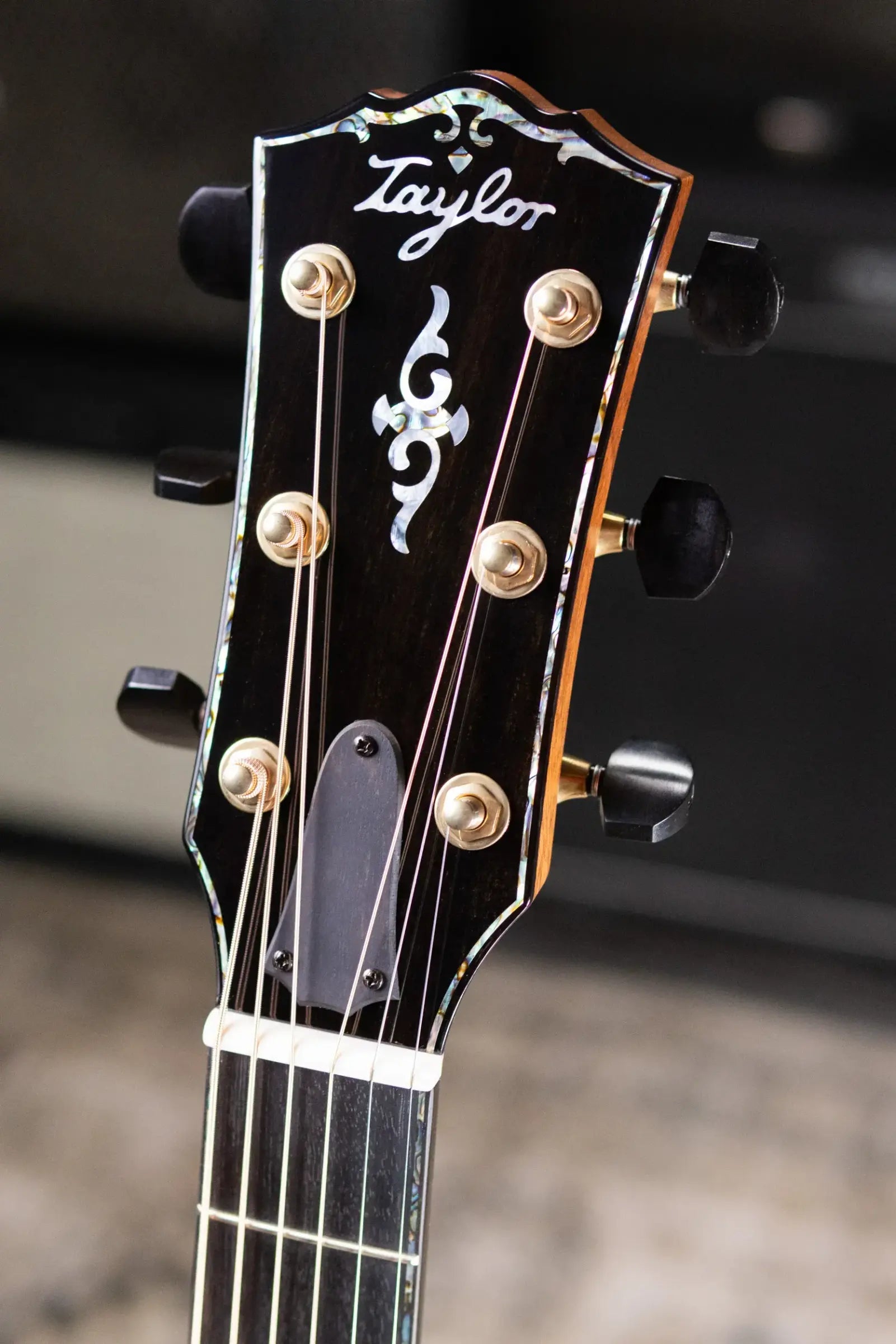 Taylor Gold Label 917e LTD Grand Pacific Acoustic/Electric Guitar - Brazilian Rosewood with Hardshell Case