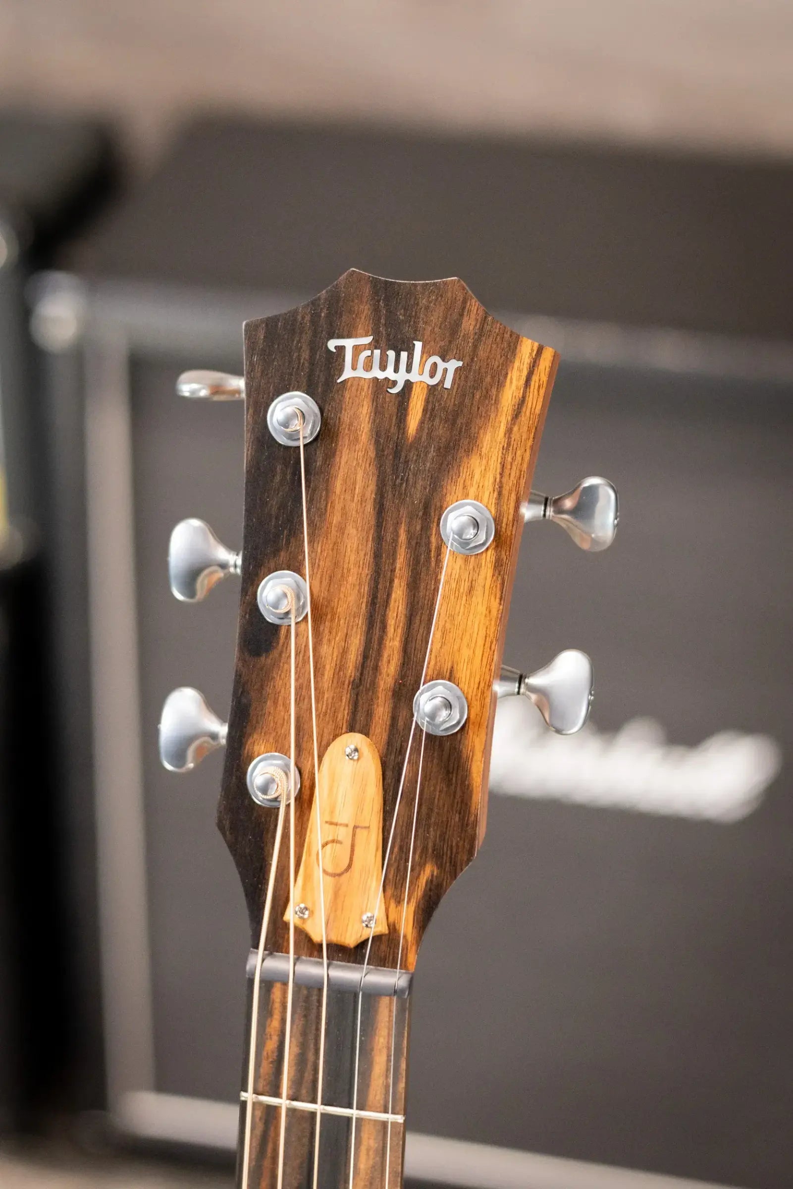 Taylor JCSM-5 Jacob Collier Signature 5-String Acoustic/Electric Guitar with Hardshell Case