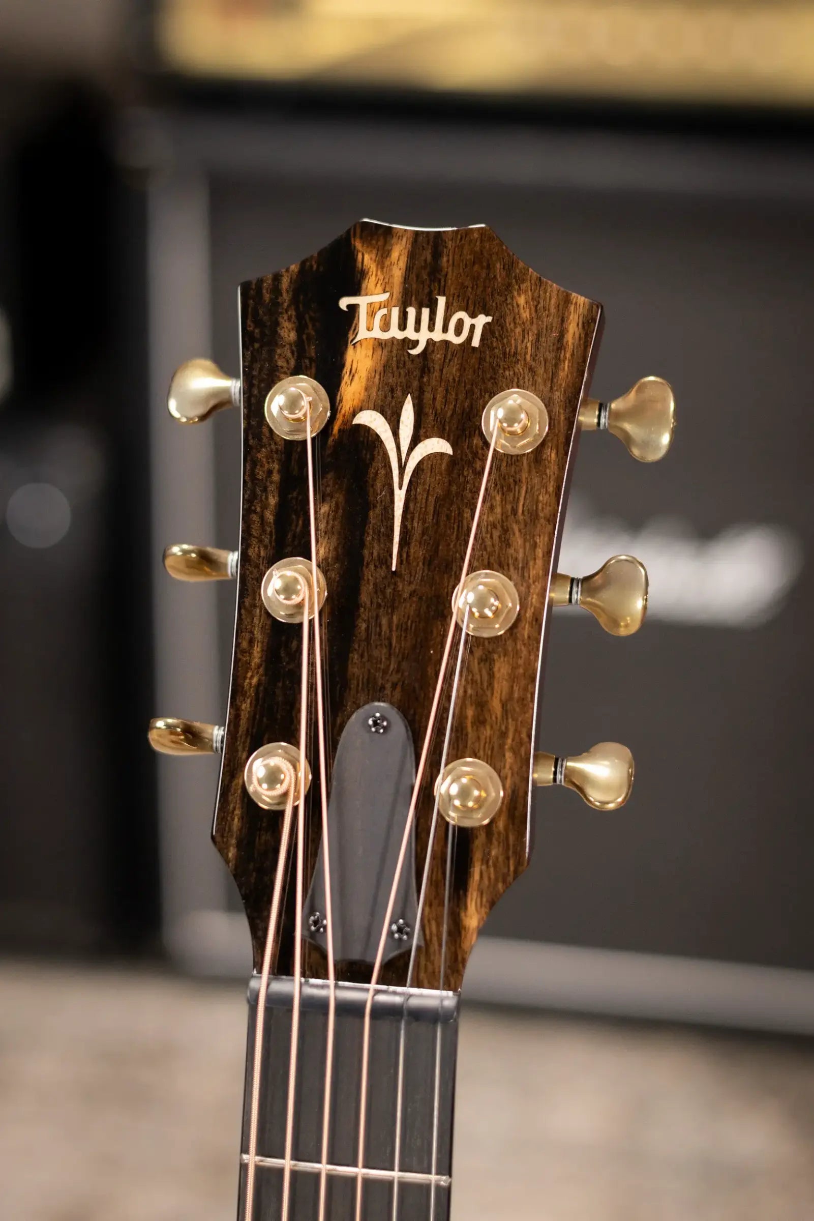 Taylor K21e Grand Theater Acoustic/Electric Guitar with AeroCase