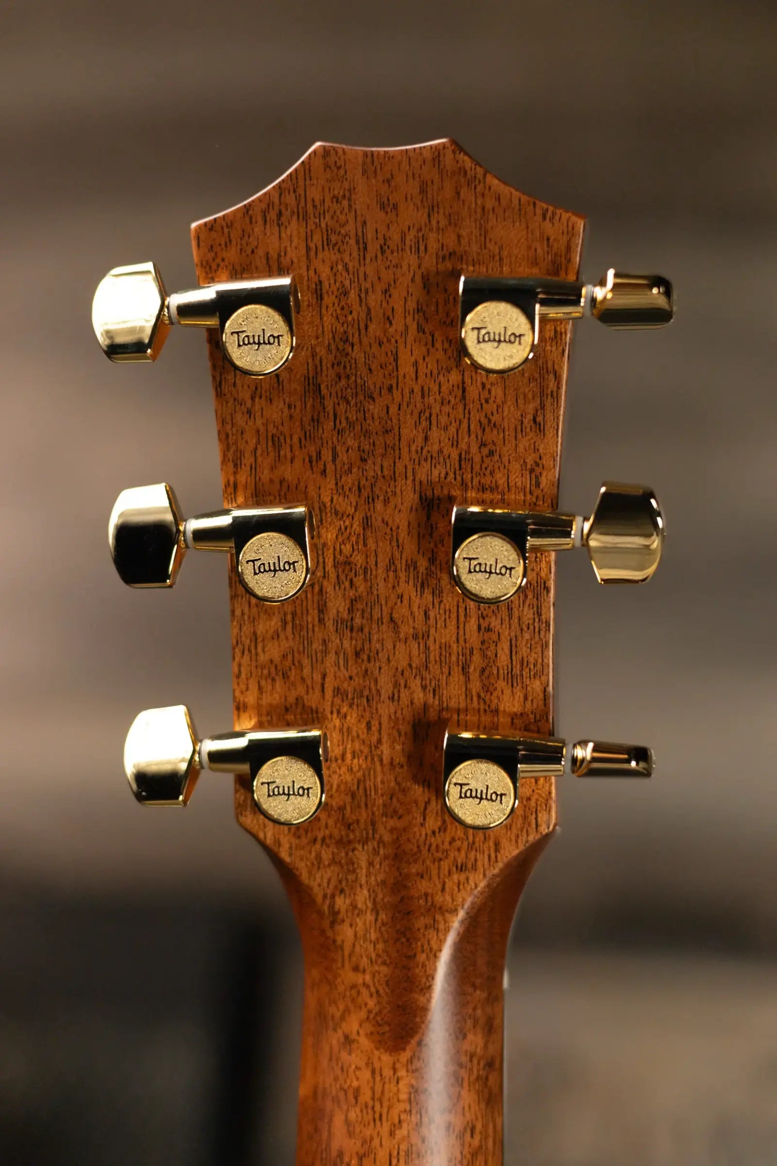 Taylor Legacy 914ce Grand Auditorium Acoustic/Electric Guitar with Hardshell Case