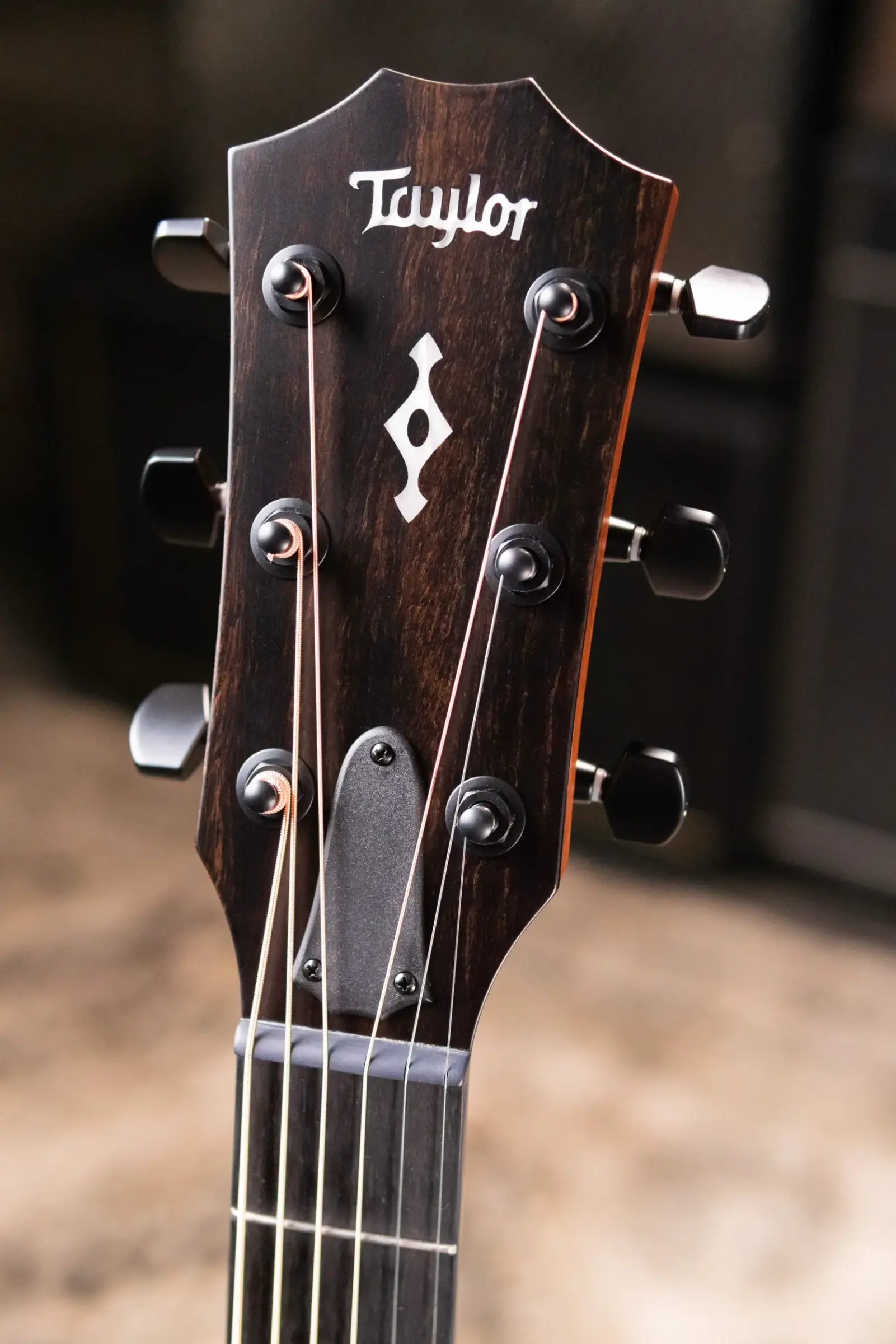 Taylor Next Generation 324ce Grand Auditorium Acoustic/Electric Guitar with Hardshell Case