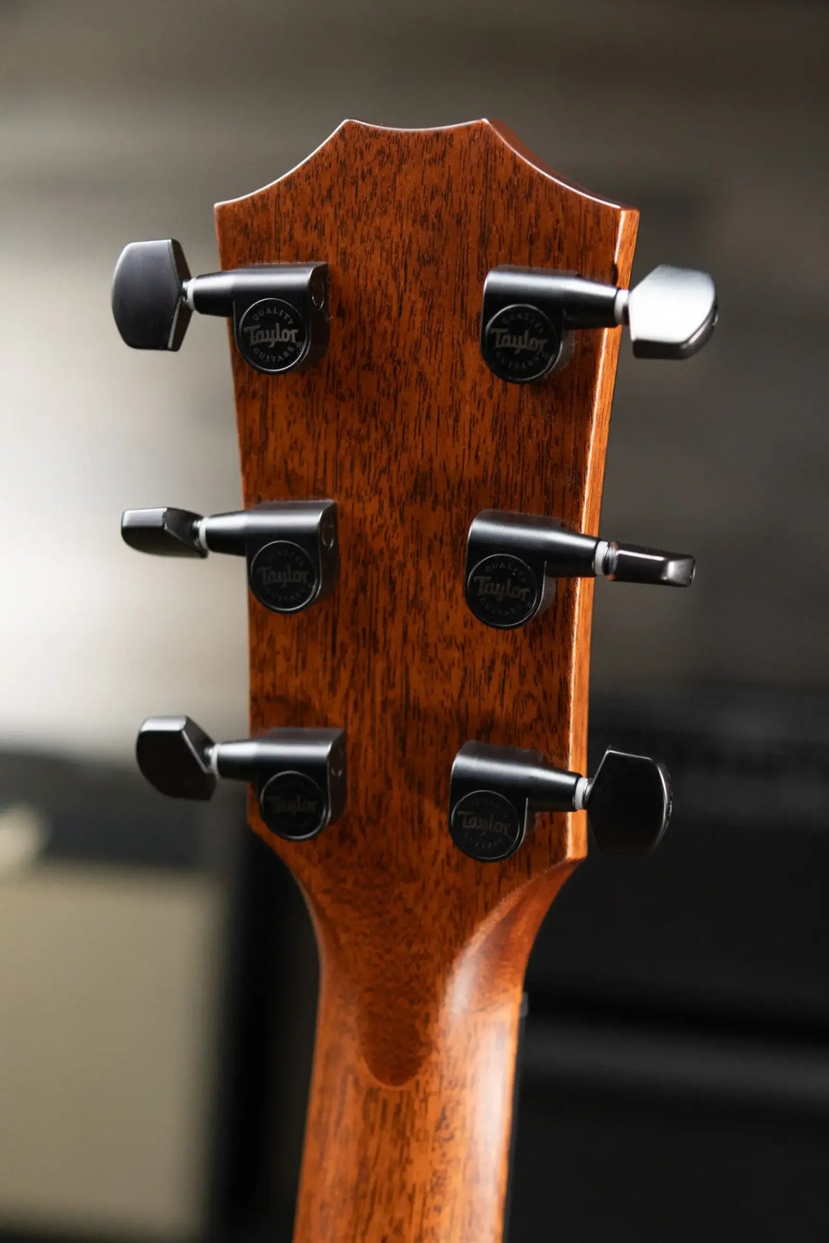 Taylor Next Generation 324ce Left-Hand Grand Auditorium Acoustic/Electric Guitar with Hardshell Case