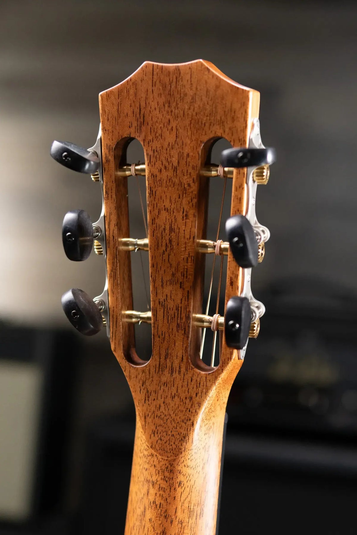 Taylor Next Generation 512ce 12-Fret Grand Concert Acoustic/Electric Guitar with Hardshell Case