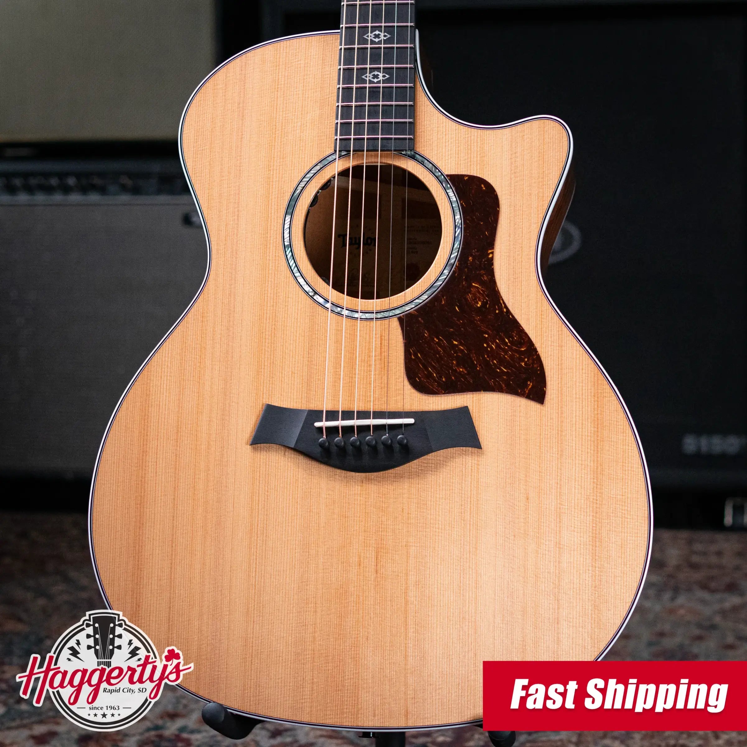 Taylor Next Generation 514ce Grand Auditorium Acoustic/Electric Guitar with Hardshell Case