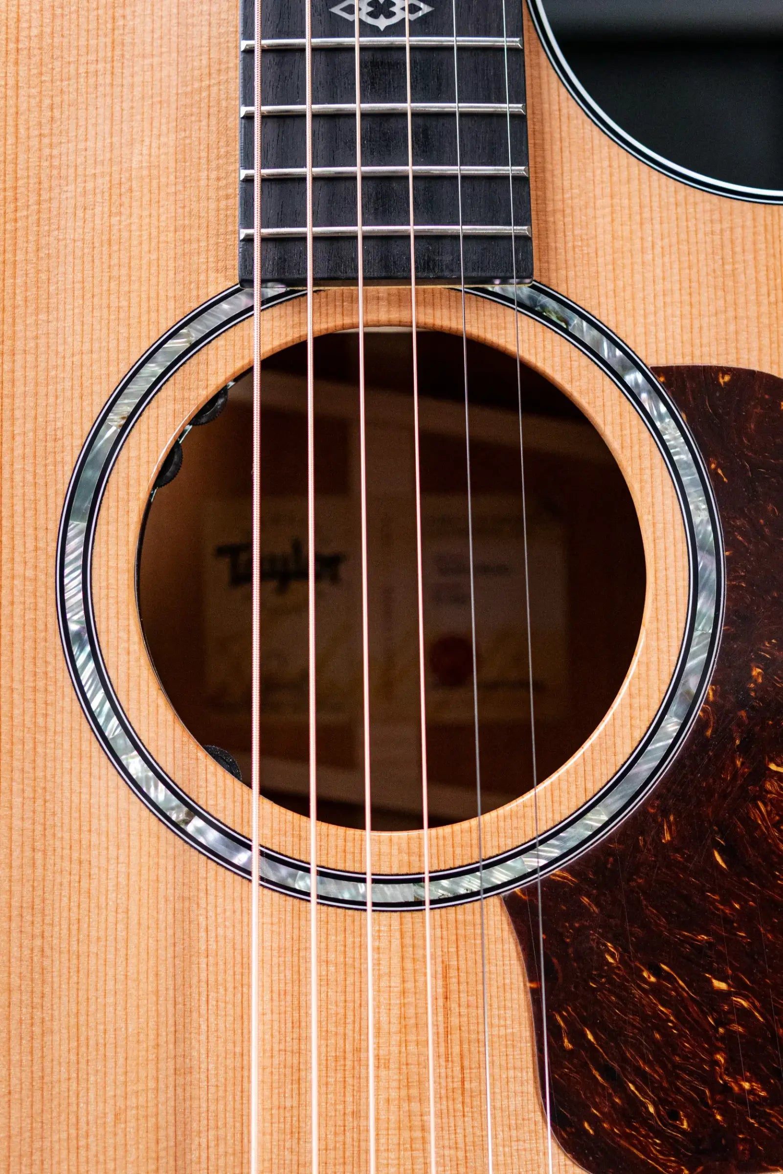 Taylor Next Generation 514ce Grand Auditorium Acoustic/Electric Guitar with Hardshell Case