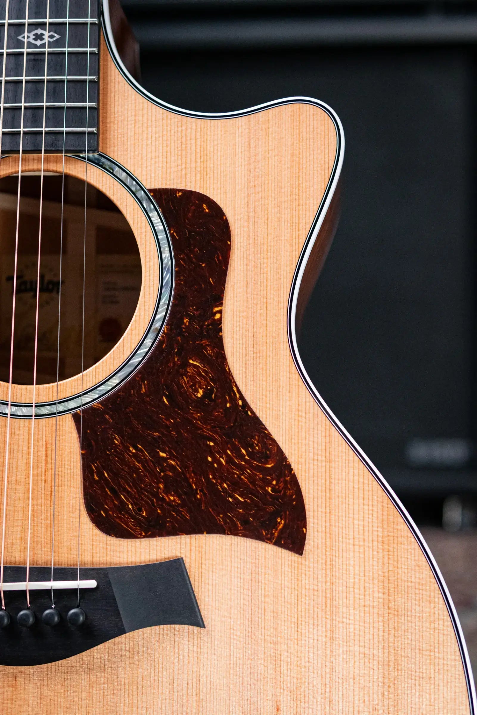 Taylor Next Generation 514ce Grand Auditorium Acoustic/Electric Guitar with Hardshell Case