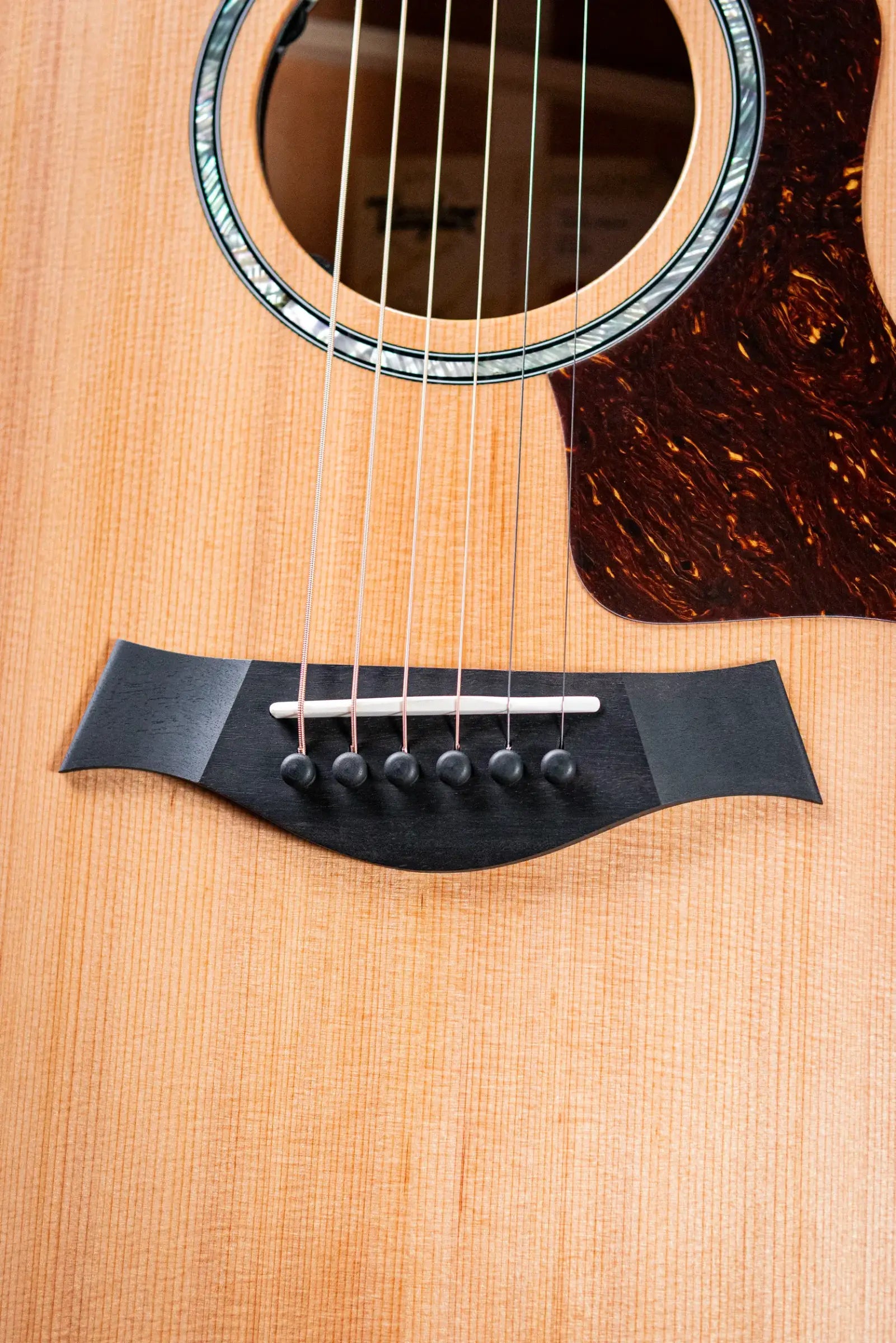 Taylor Next Generation 514ce Grand Auditorium Acoustic/Electric Guitar with Hardshell Case
