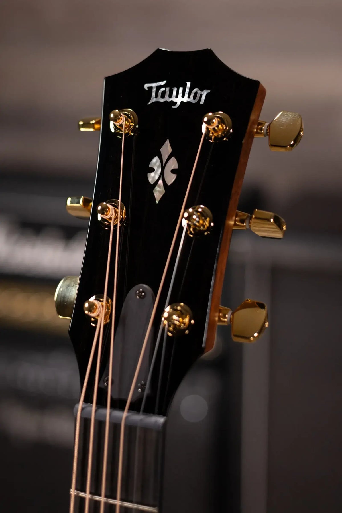 Taylor Next Generation 714ce Grand Auditorium Acoustic/Electric Guitar - Cedar/Indian Rosewood with Hardshell Case
