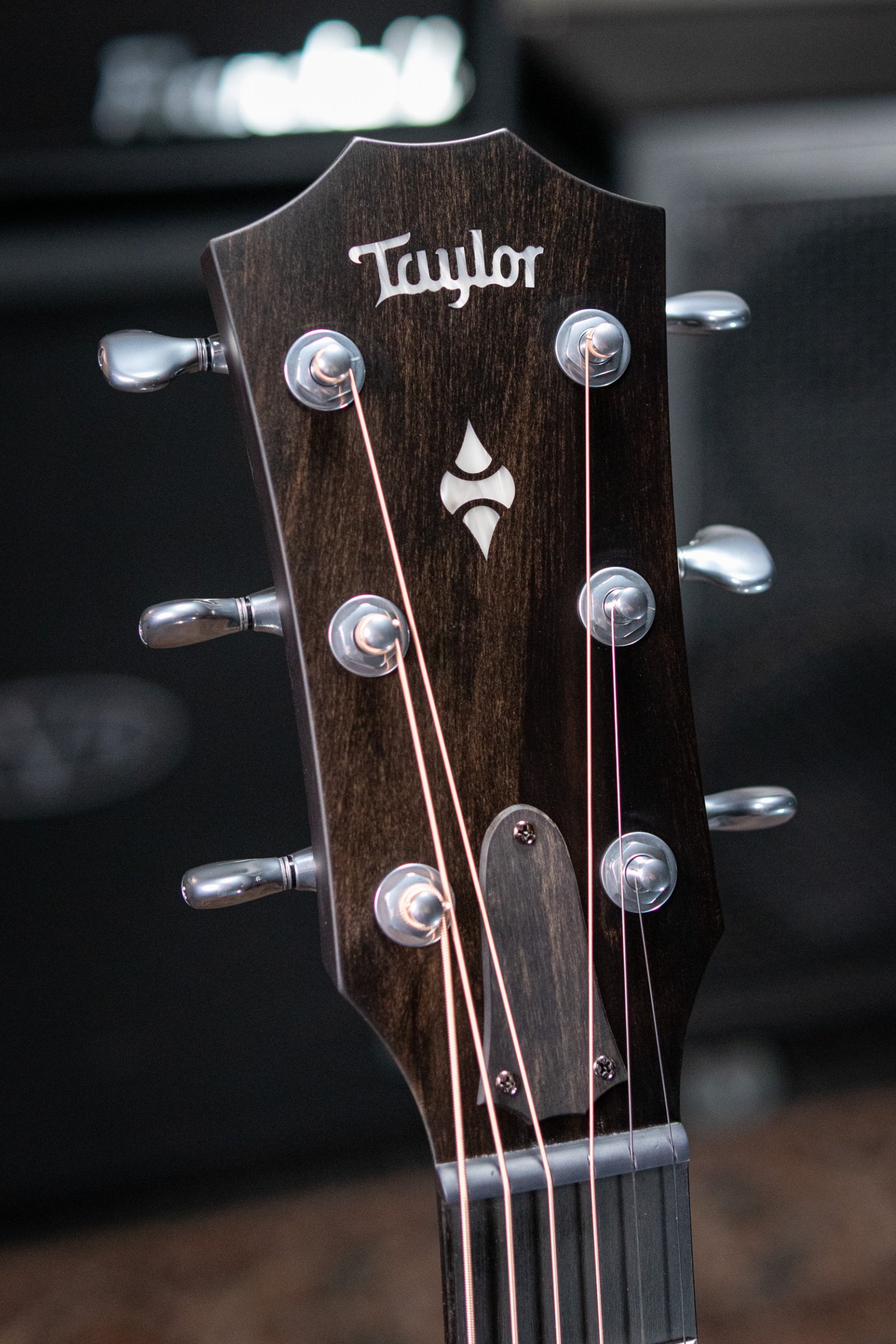 Taylor Next Generation Builder's Edition 514ce Grand Auditorium Acoustic/Electric Guitar - Natural with Hardshell Case
