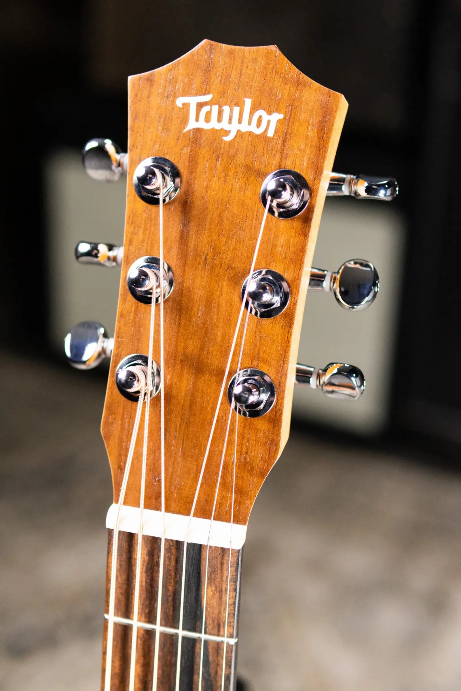 Taylor TS-BT Taylor Swift Signature Baby Taylor Acoustic Guitar with Gig Bag