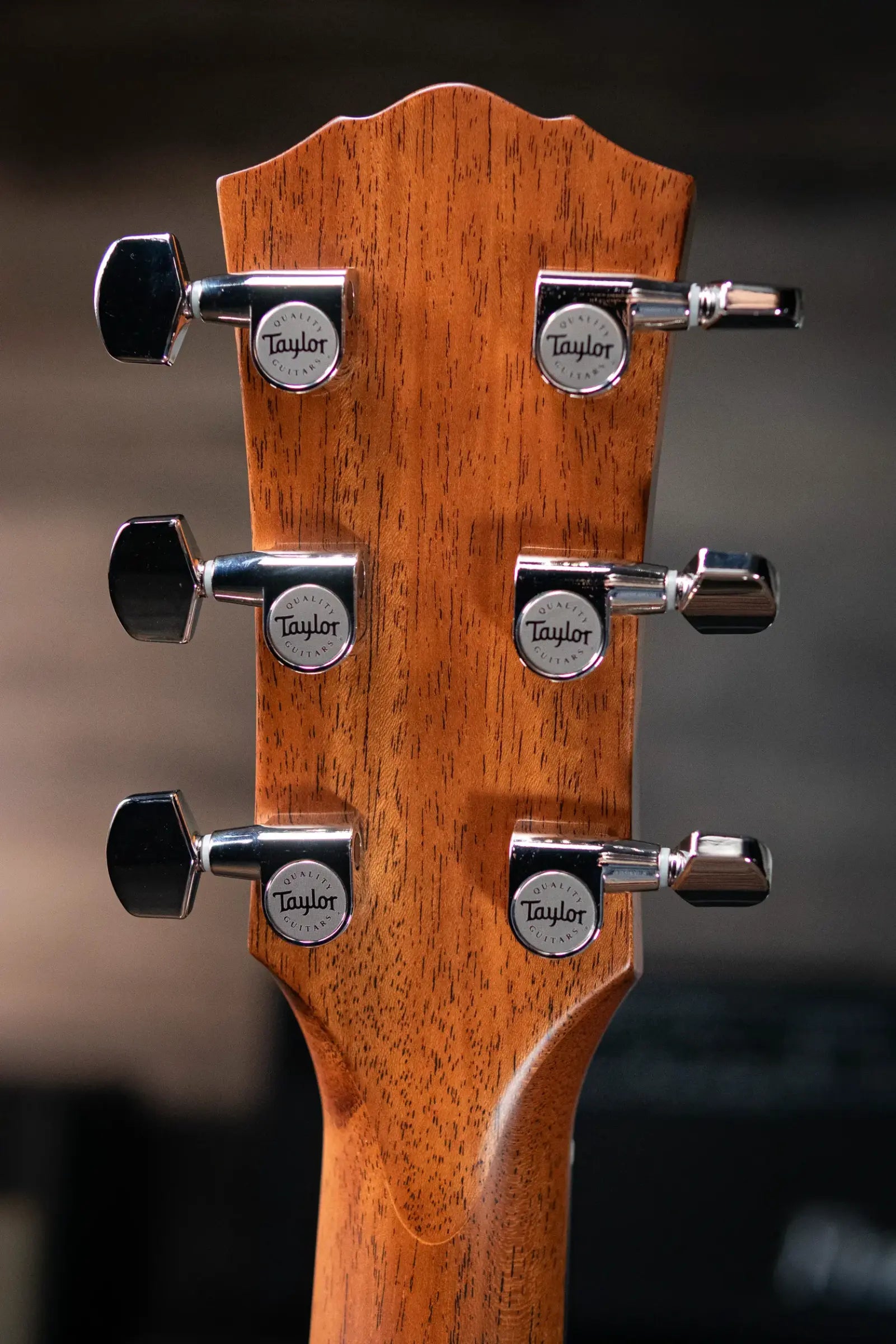 Taylor Trey Hensley Gold Label 510e Special Edition Dreadnought Acoustic / Electric Guitar - Antique Blonde with Hardshell Case