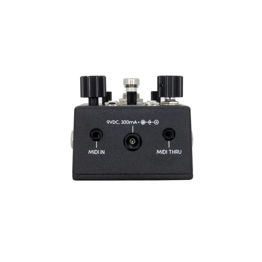 Walrus Audio Canvas Rehearsal Pedal