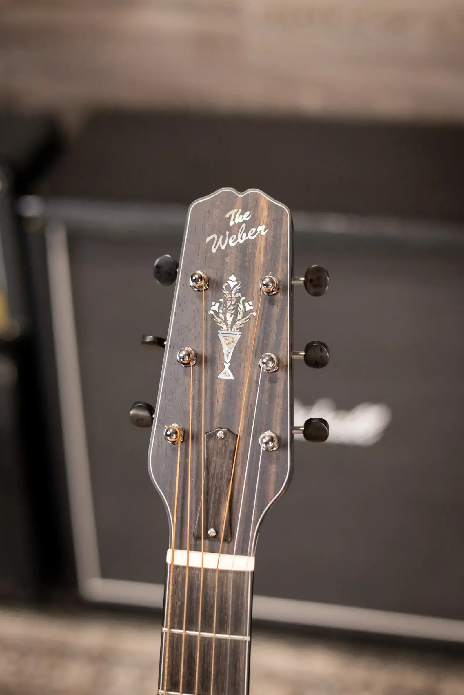 Weber Yellowstone Archtop Acoustic/Electric Guitar with Hardshell Case - Used