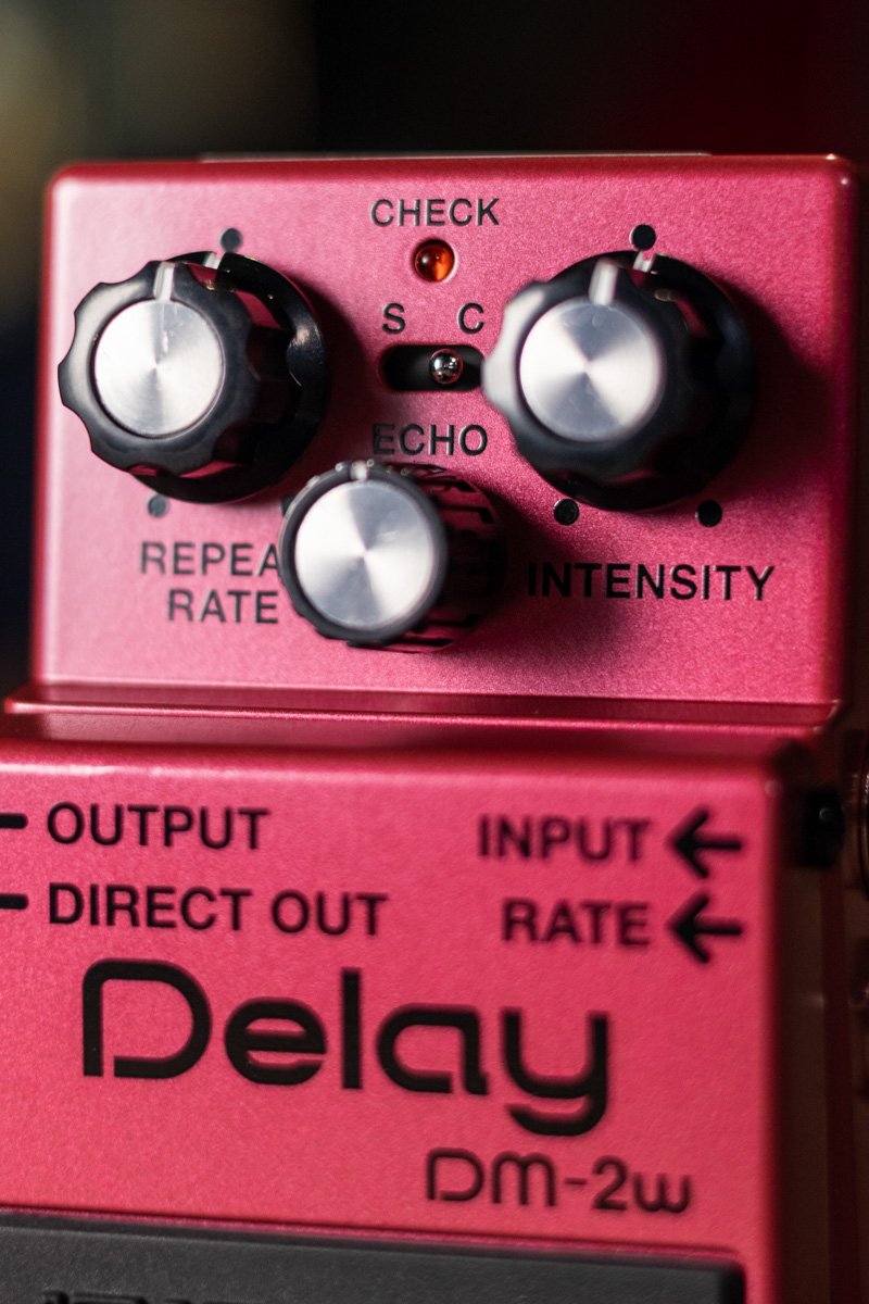 boss DM 2w delay pedal haggertys 2
