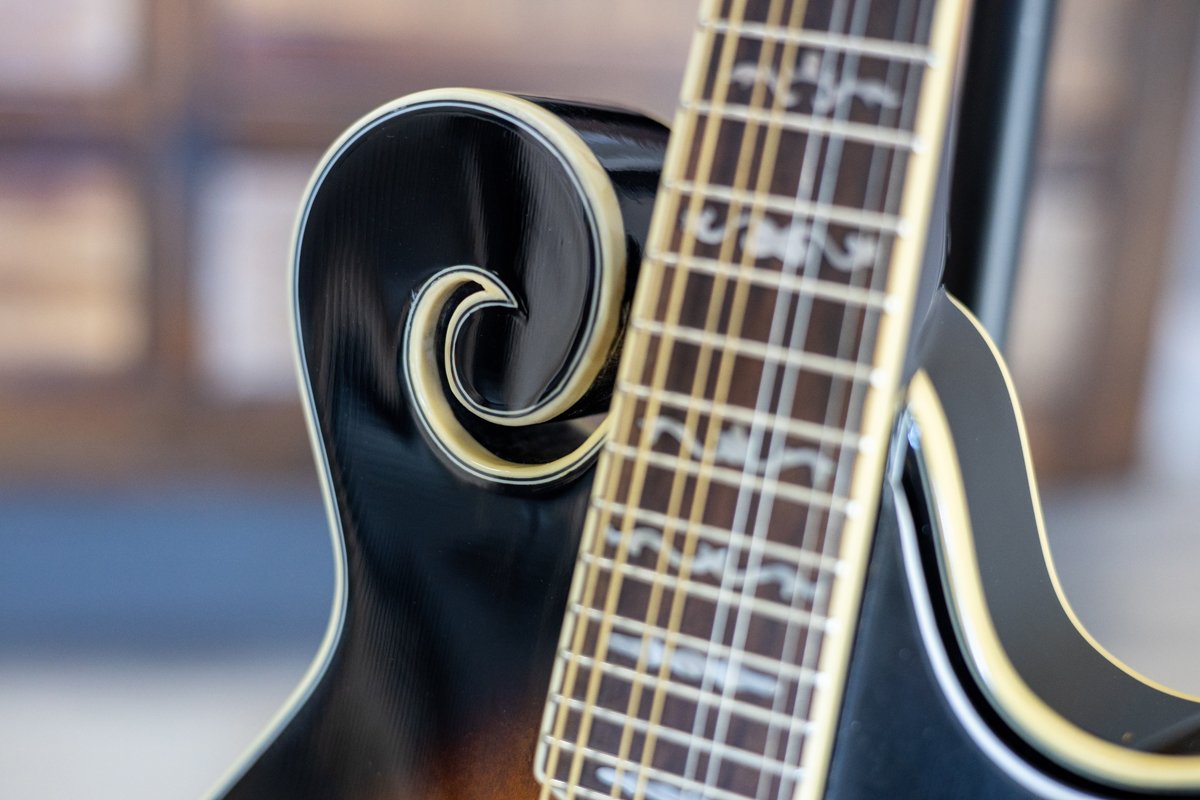 gold tone gm 35 f style mandolin 19